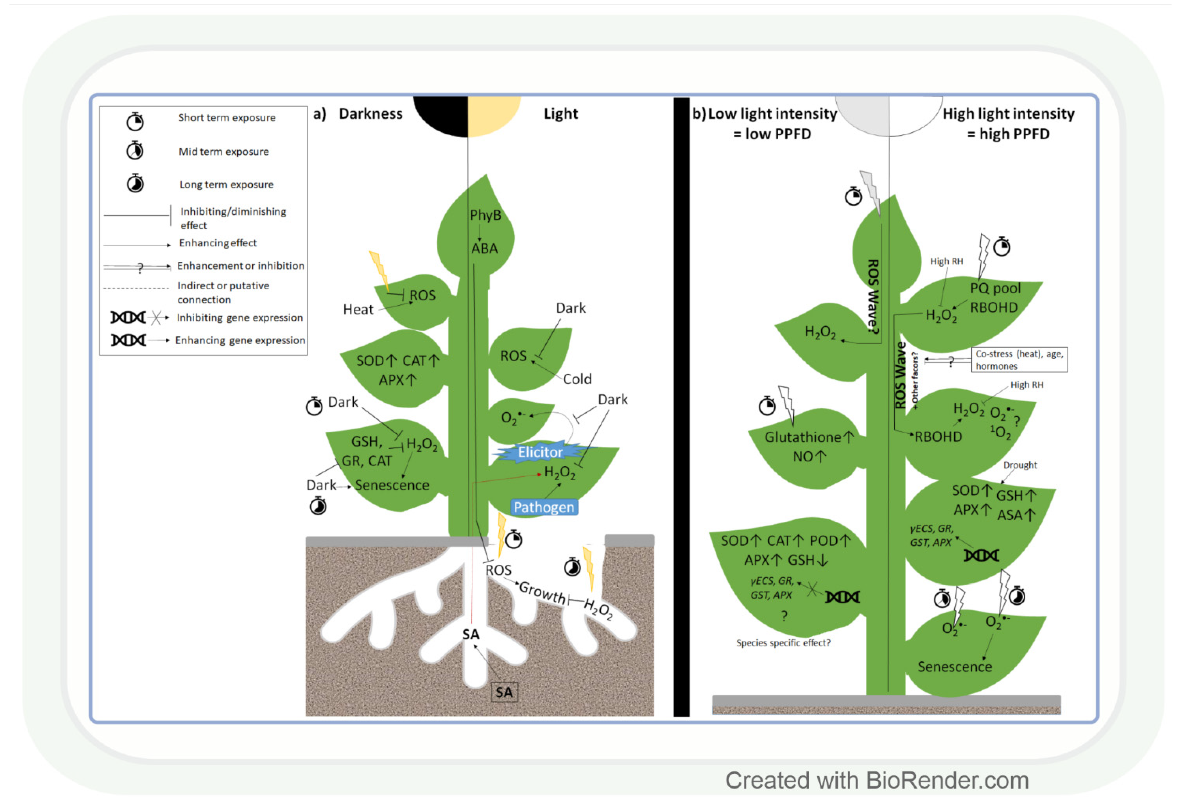 Antioxidants | Free Full-Text | Light Intensity- and Spectrum-Dependent  Redox Regulation of Plant Metabolism