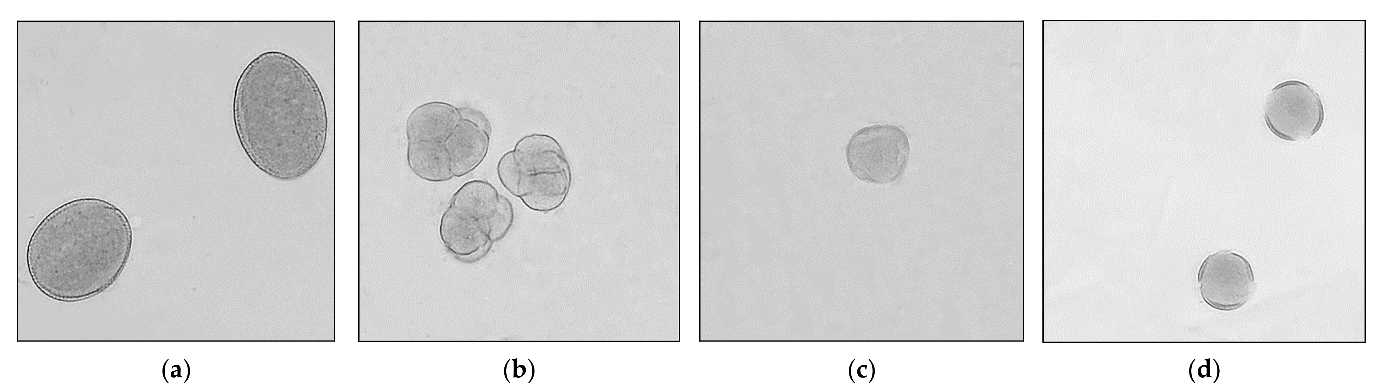 Antioxidants 11 01312 g001 550