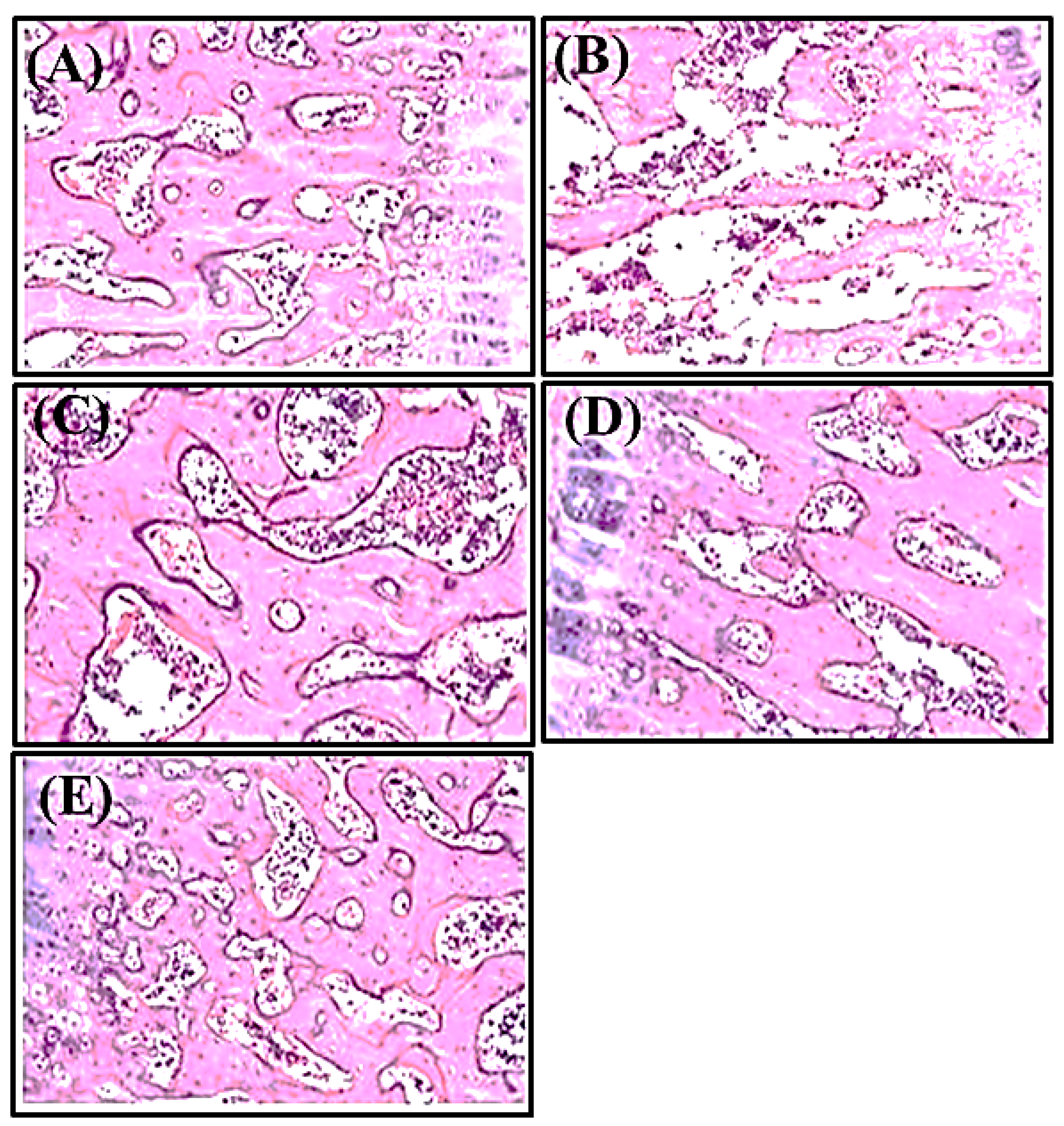 Antioxidants 11 01316 g003 550