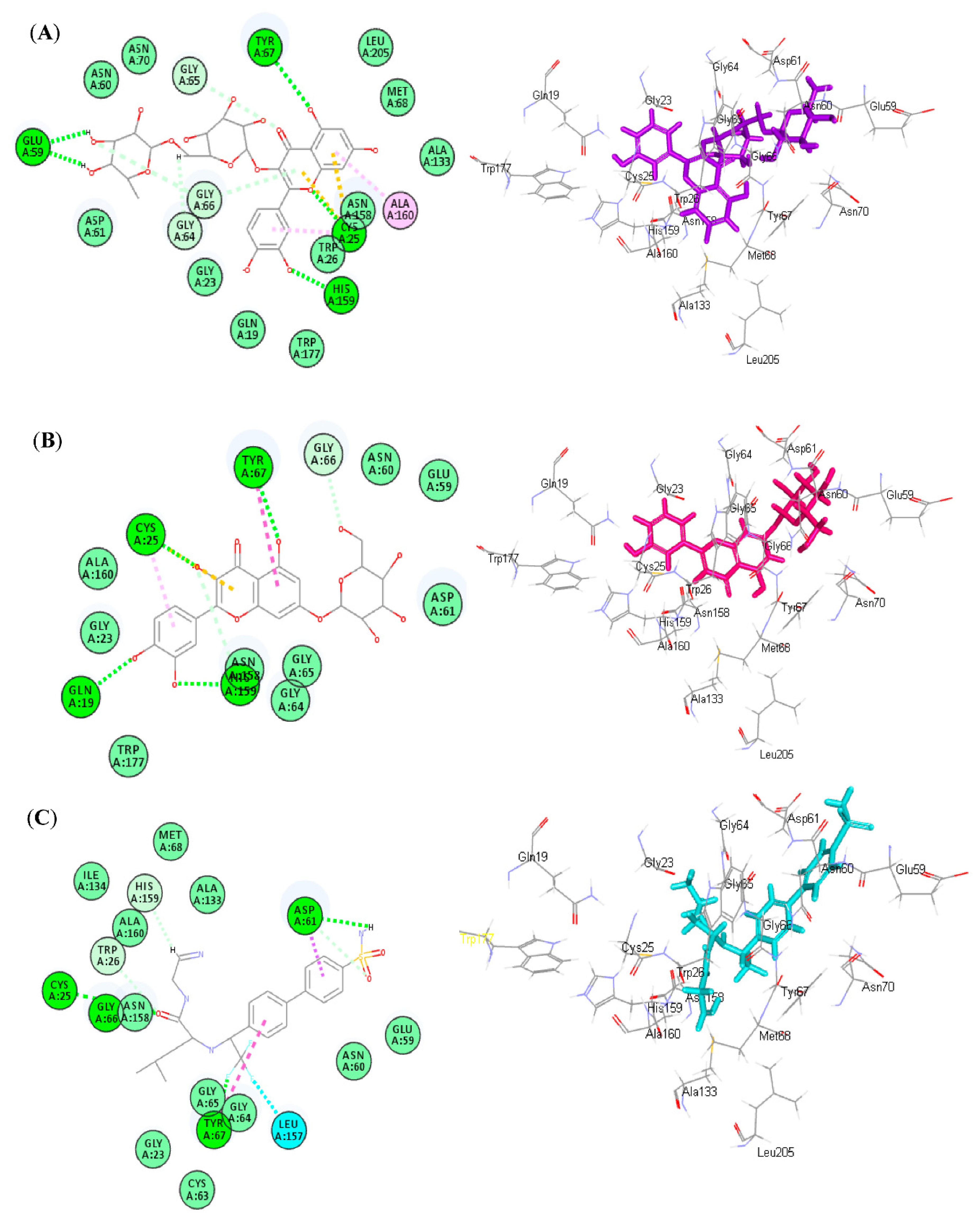 Antioxidants 11 01316 g005 550