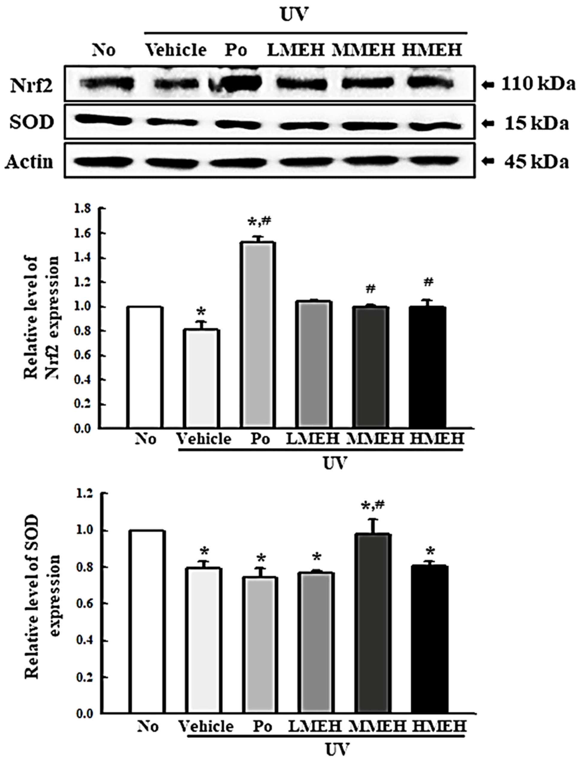 Antioxidants 11 01317 g004