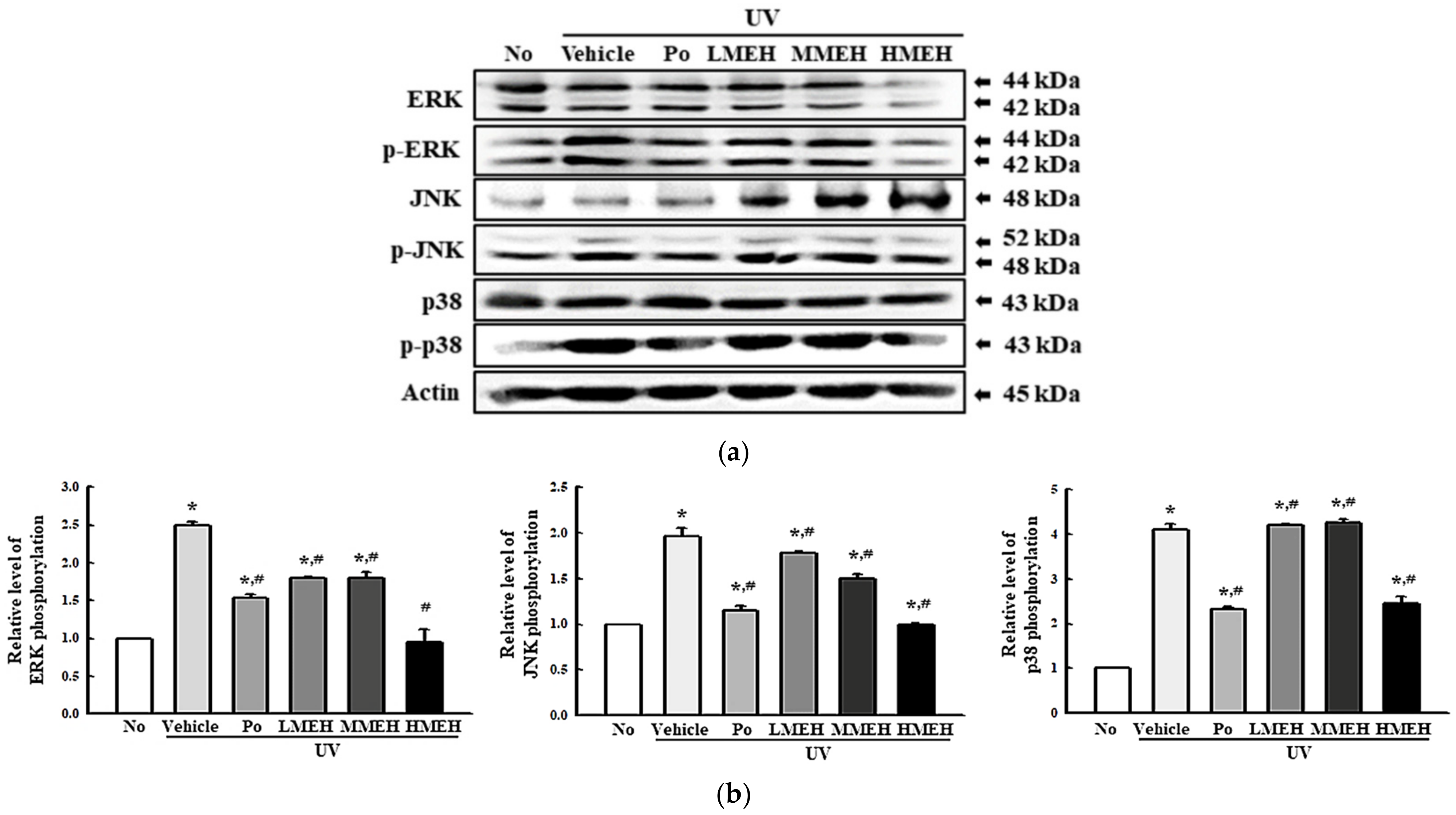 Antioxidants 11 01317 g009