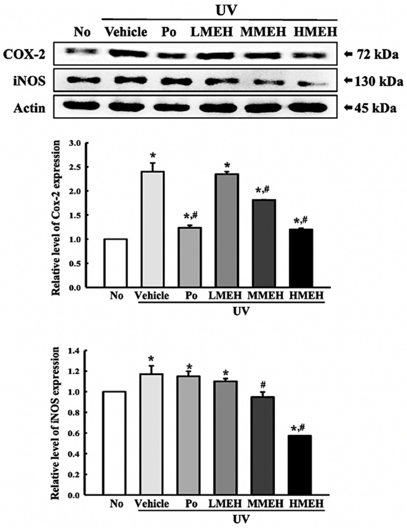 Antioxidants 11 01317 g010