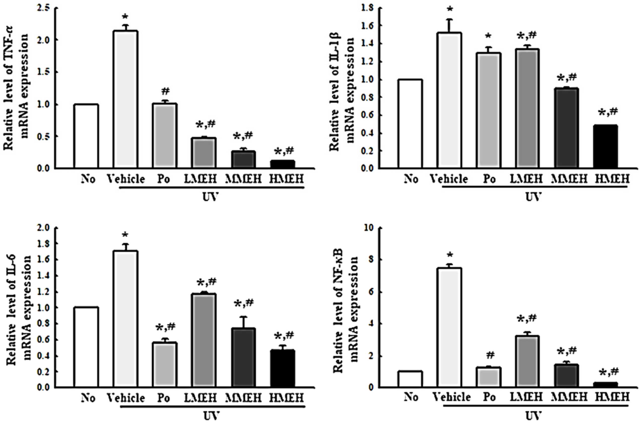 Antioxidants 11 01317 g012