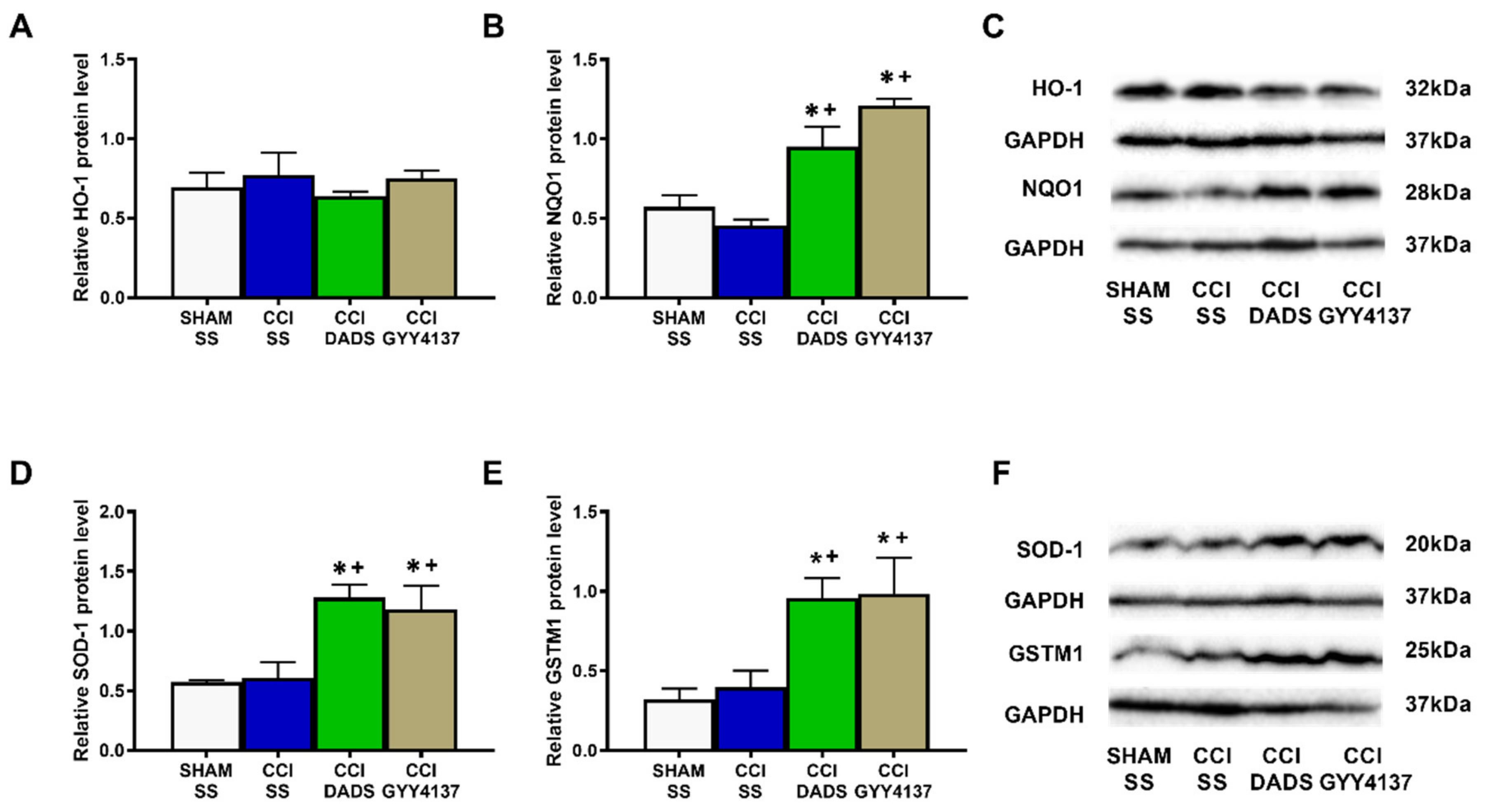 Antioxidants 11 01321 g006