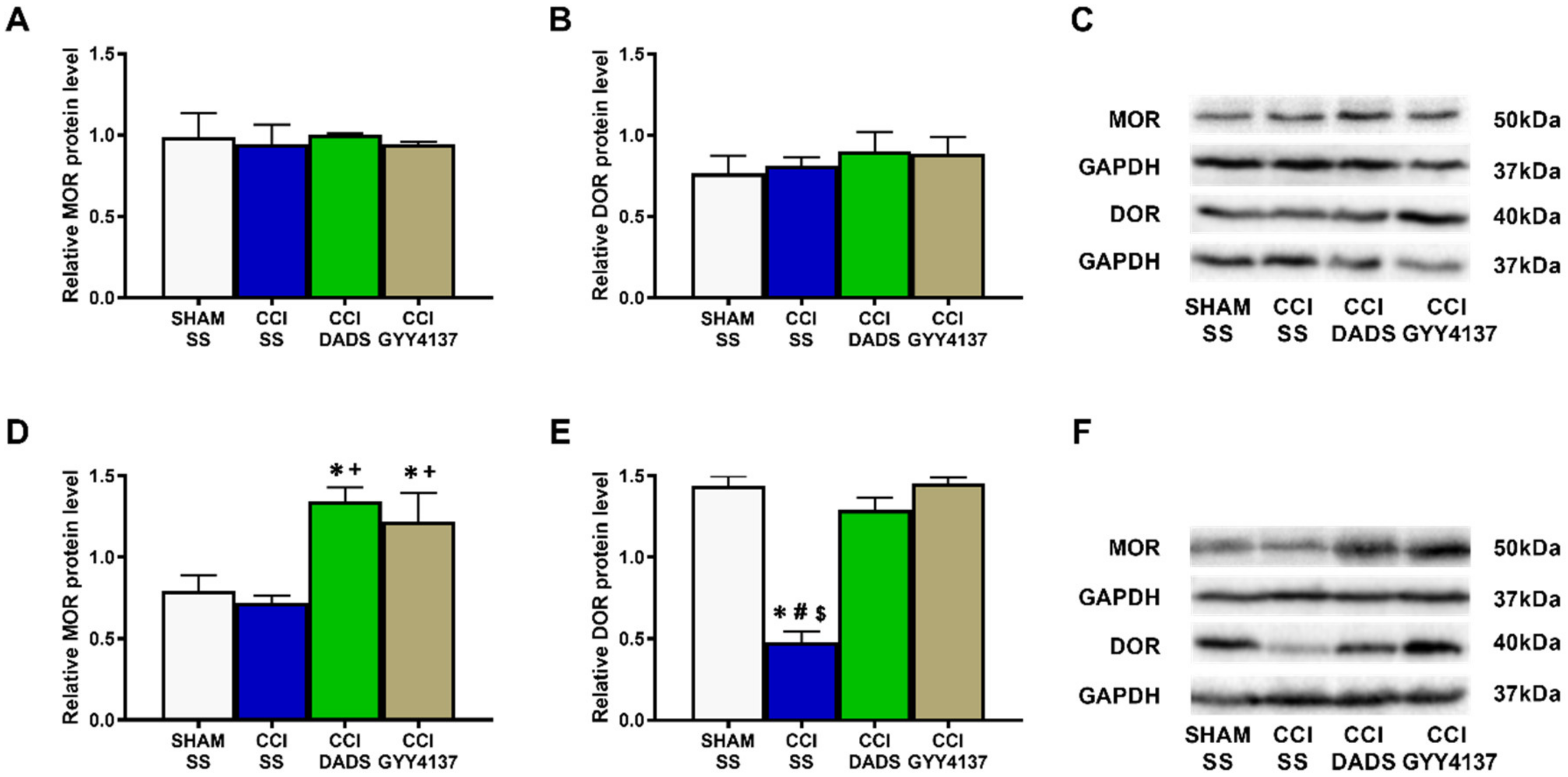 Antioxidants 11 01321 g008