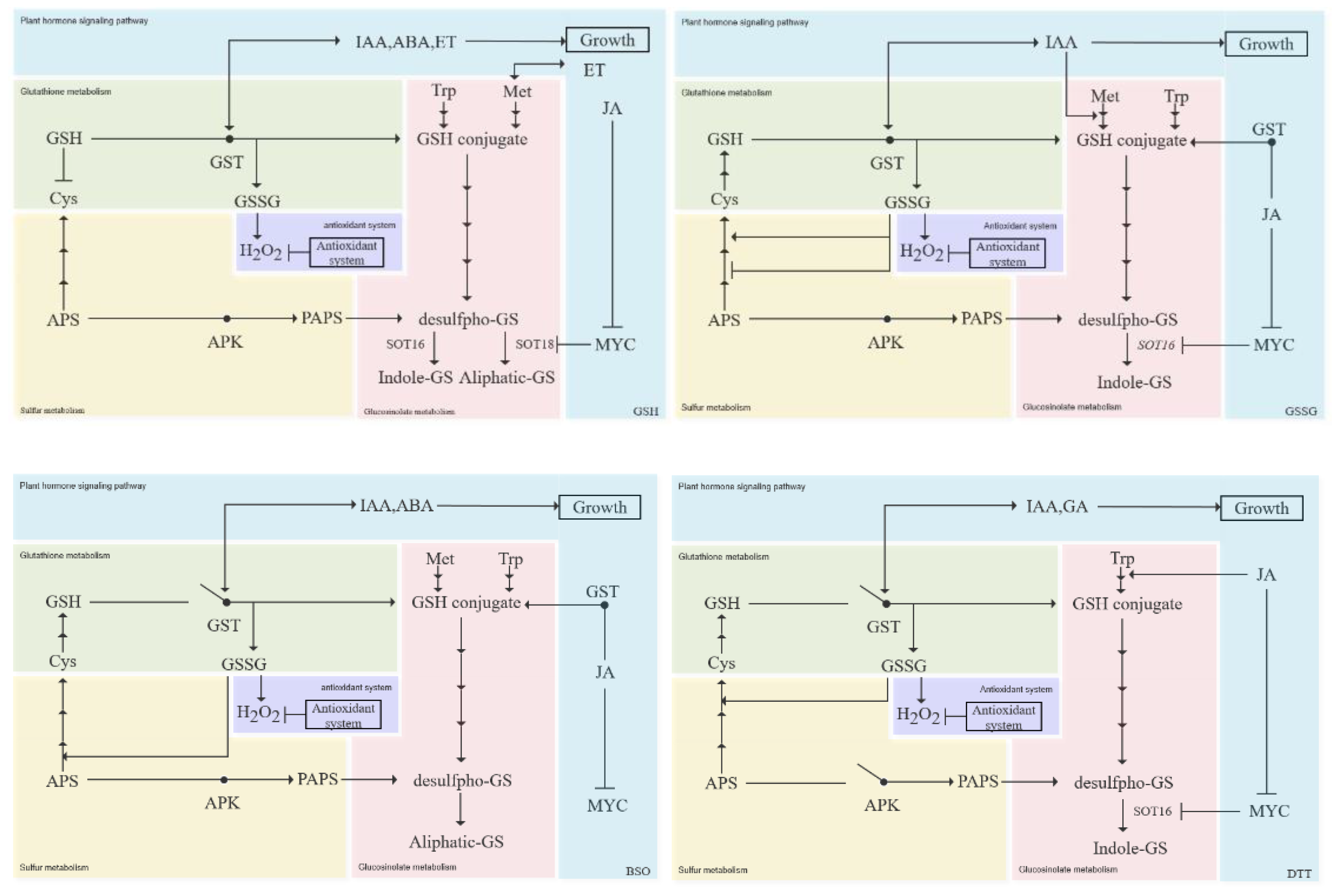 Antioxidants 11 01322 g012b