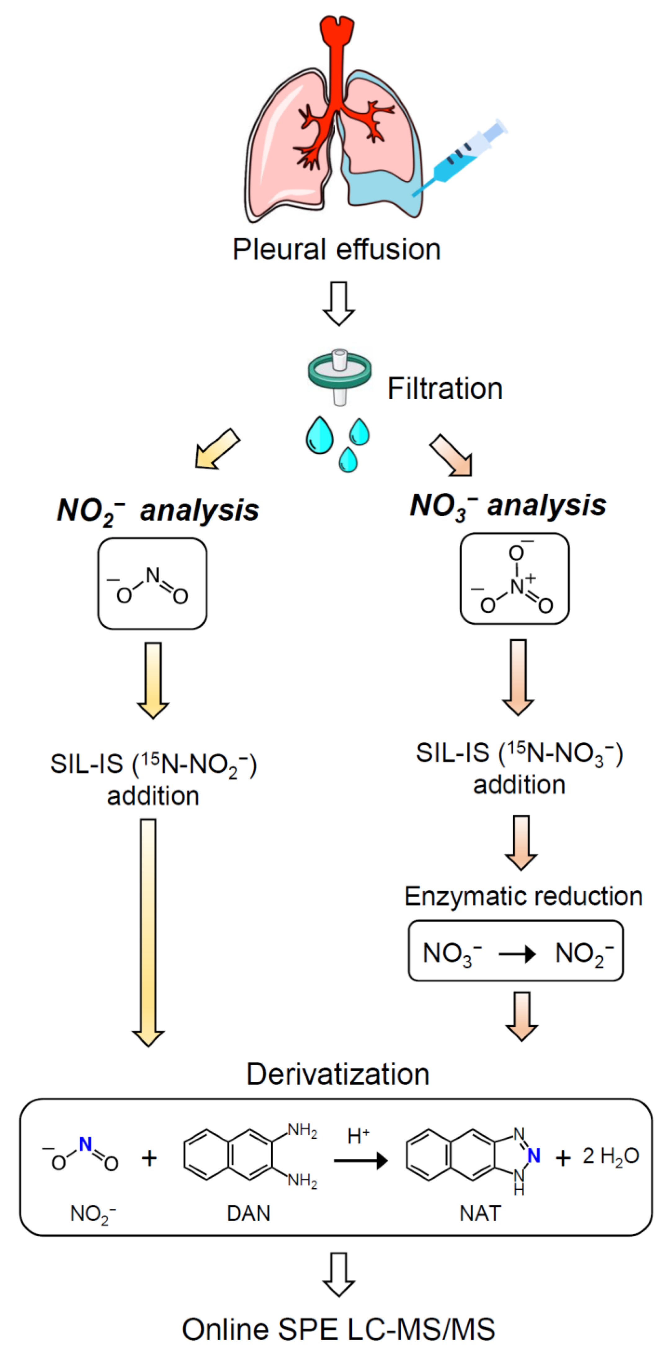 Antioxidants 11 01327 g001 550