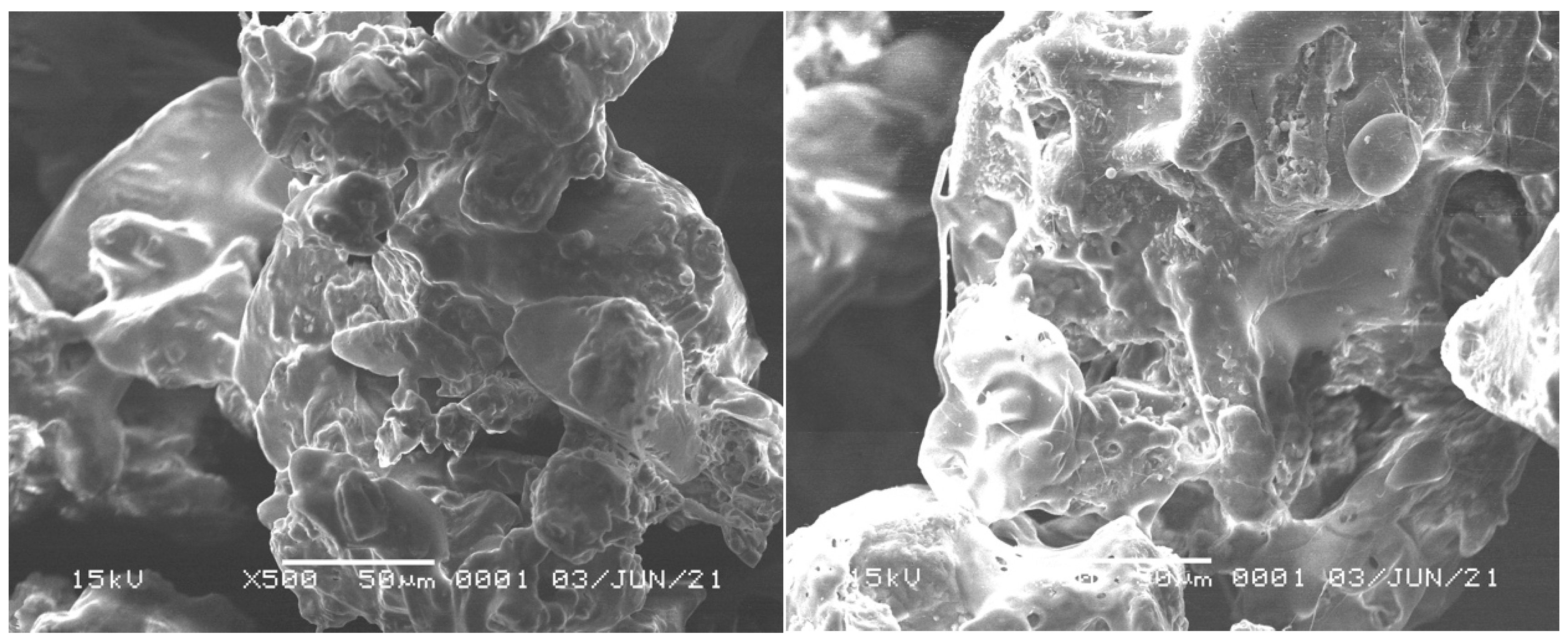 Antioxidants 11 01331 g003