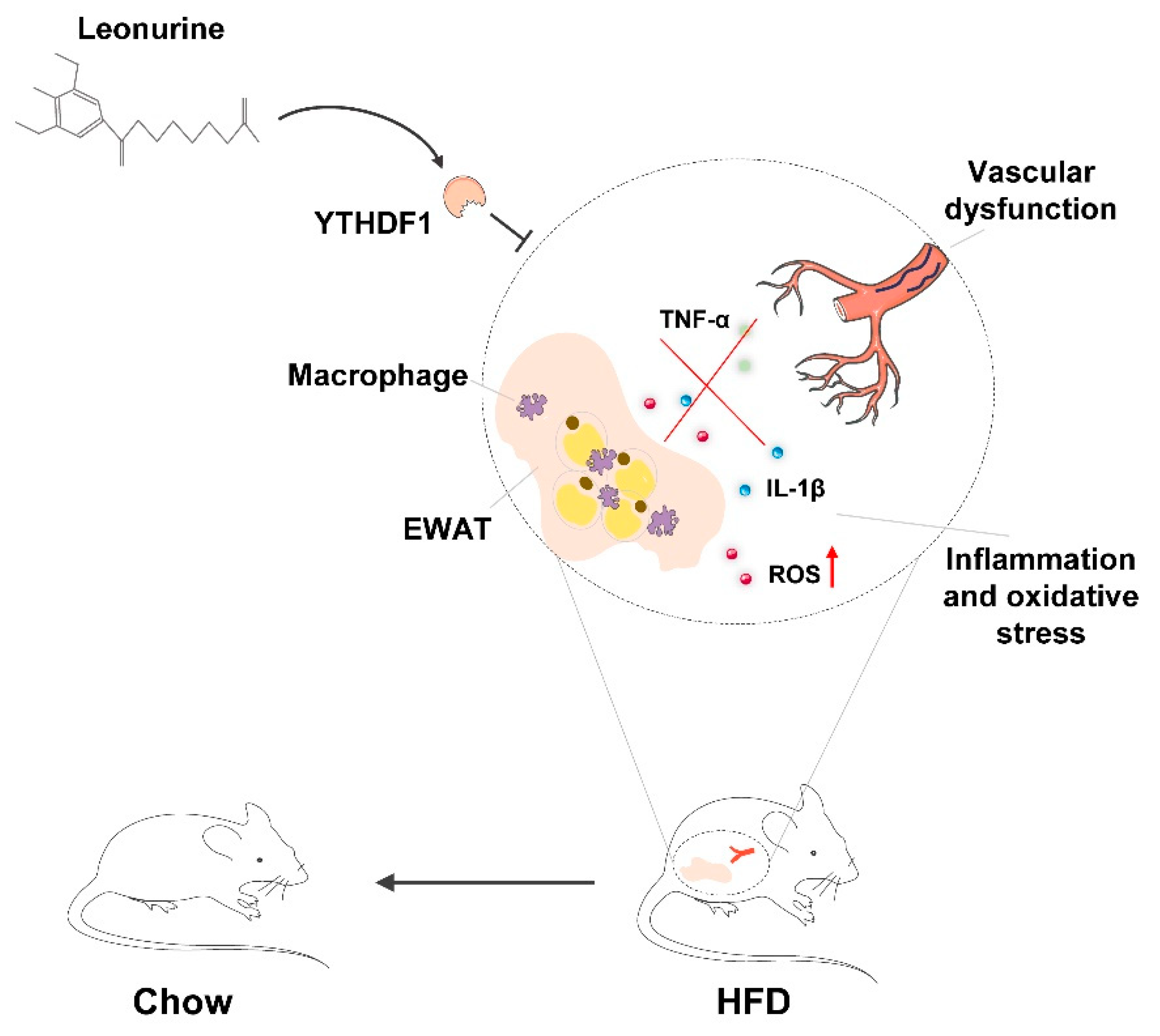 Antioxidants 11 01338 g006