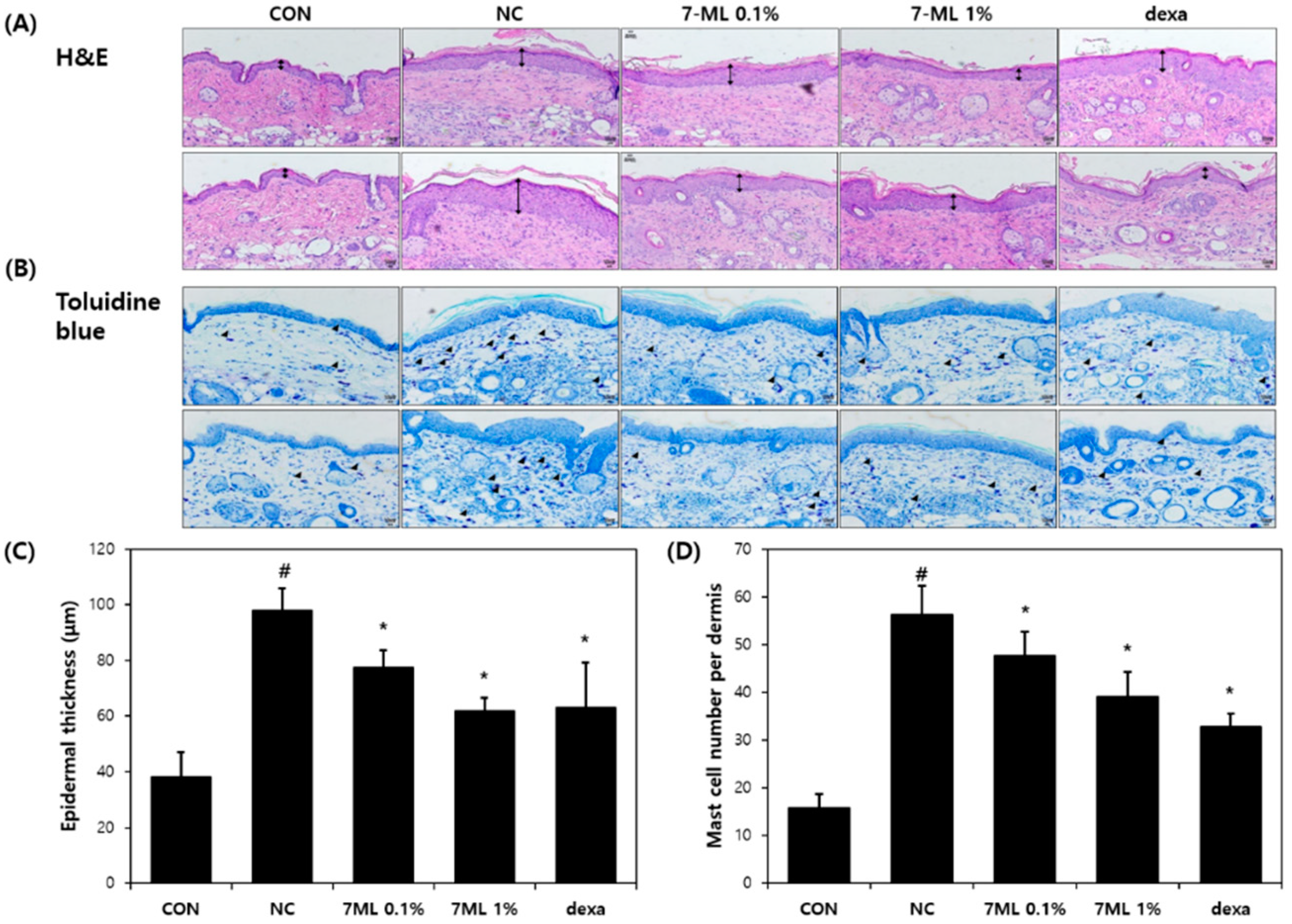 Antioxidants 11 01344 g004 550