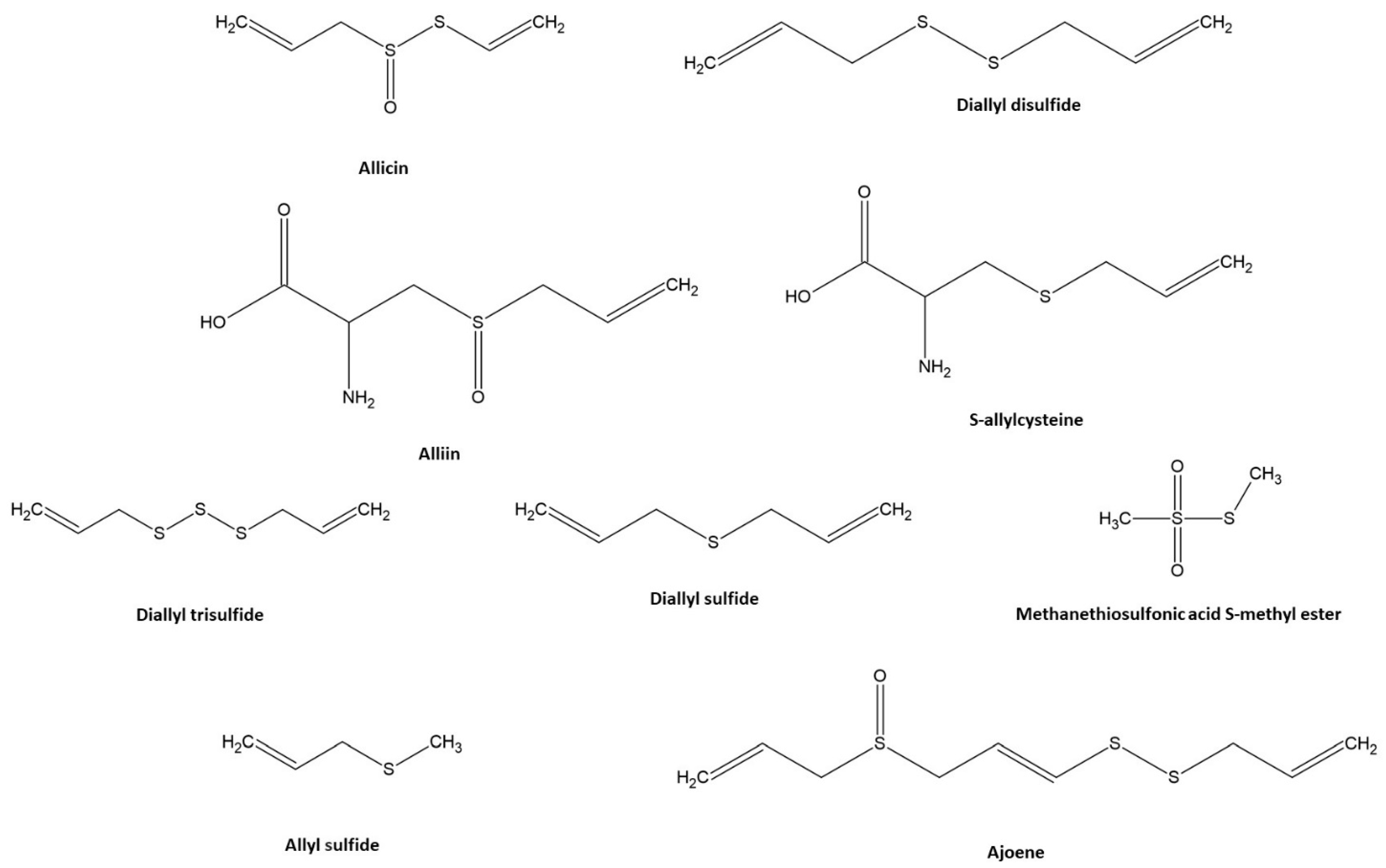 Antioxidants 11 01345 g001 Antioxidants 11 01345 g001