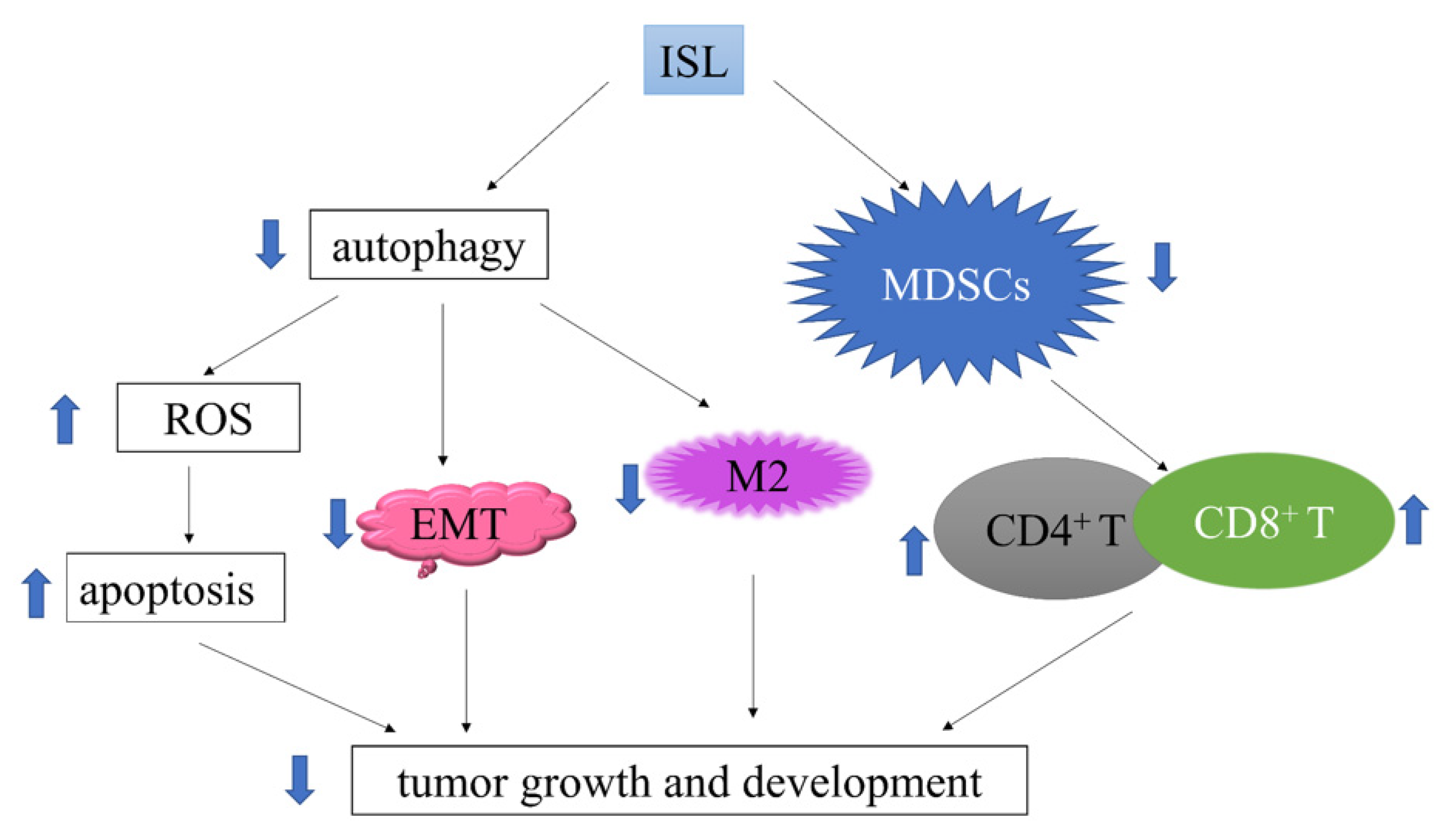 Antioxidants 11 01349 g001
