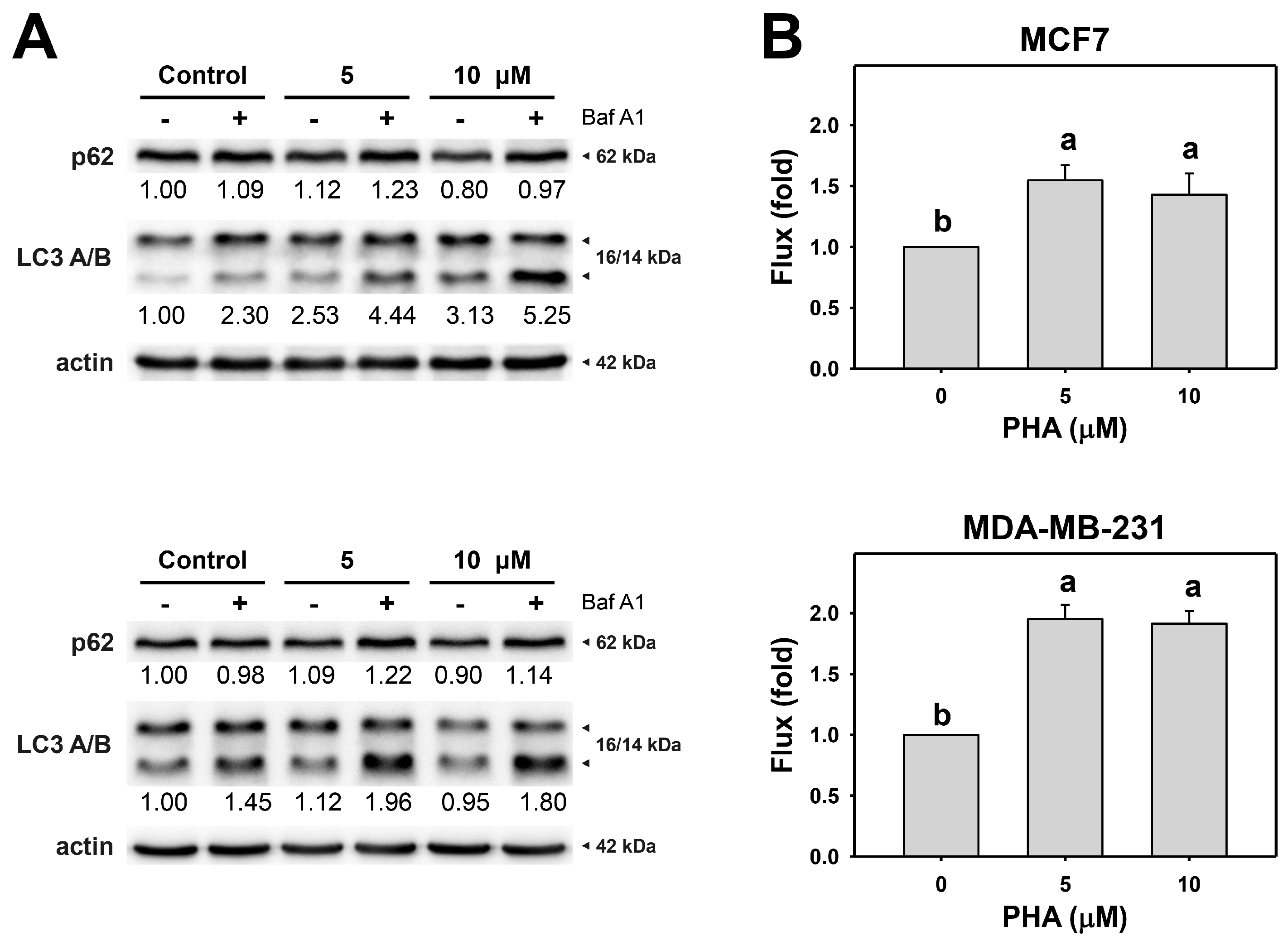 Antioxidants 11 01352 g002