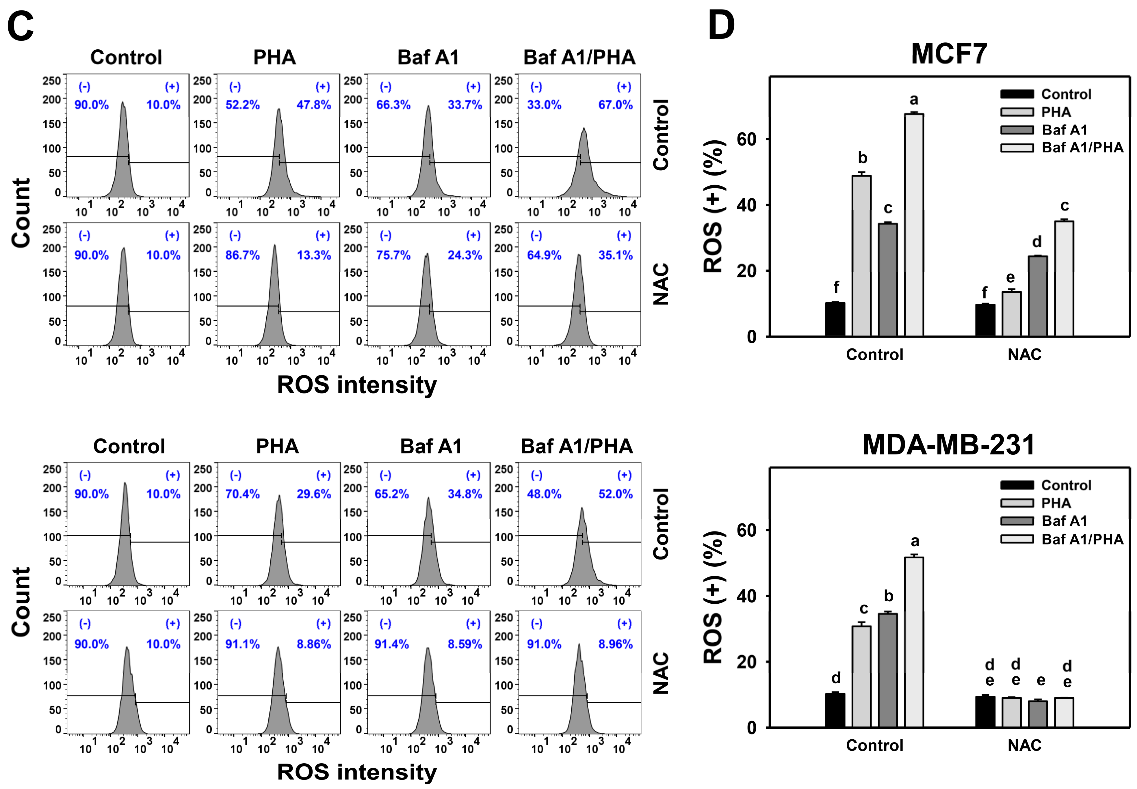 Antioxidants 11 01352 g004b
