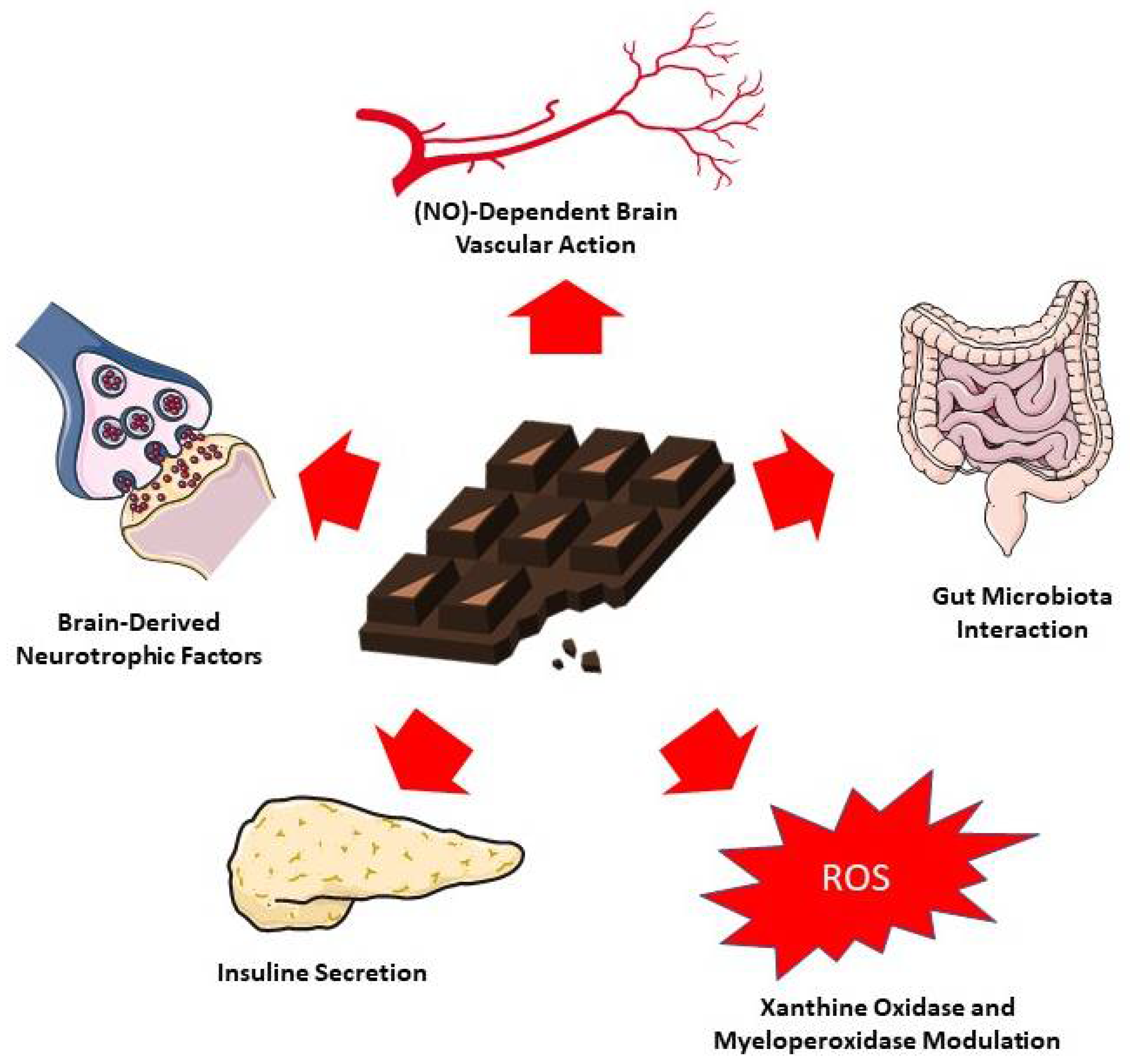Antioxidants 11 01353 g003 Antioxidants 11 01353 g003