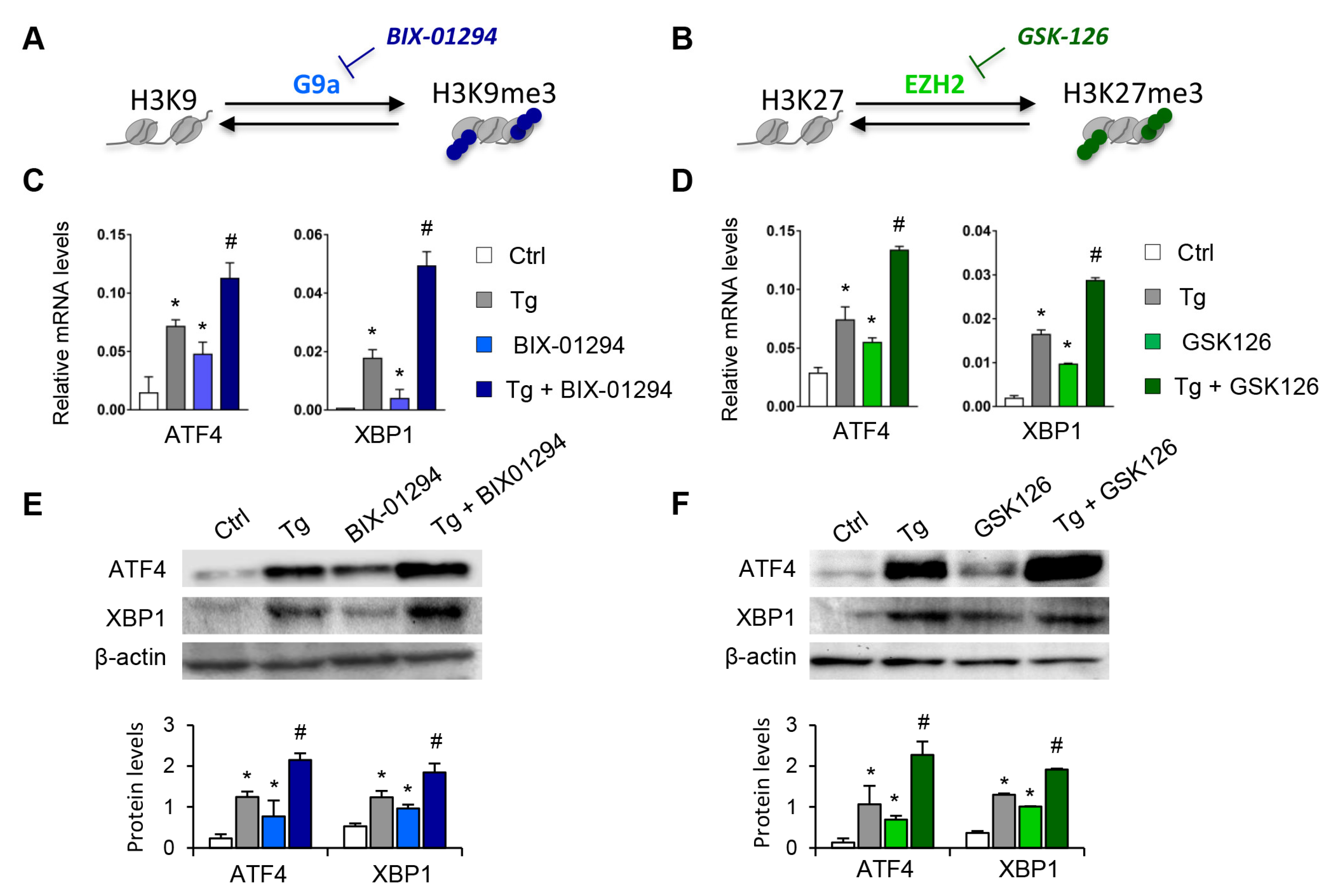 Antioxidants 11 01355 g002