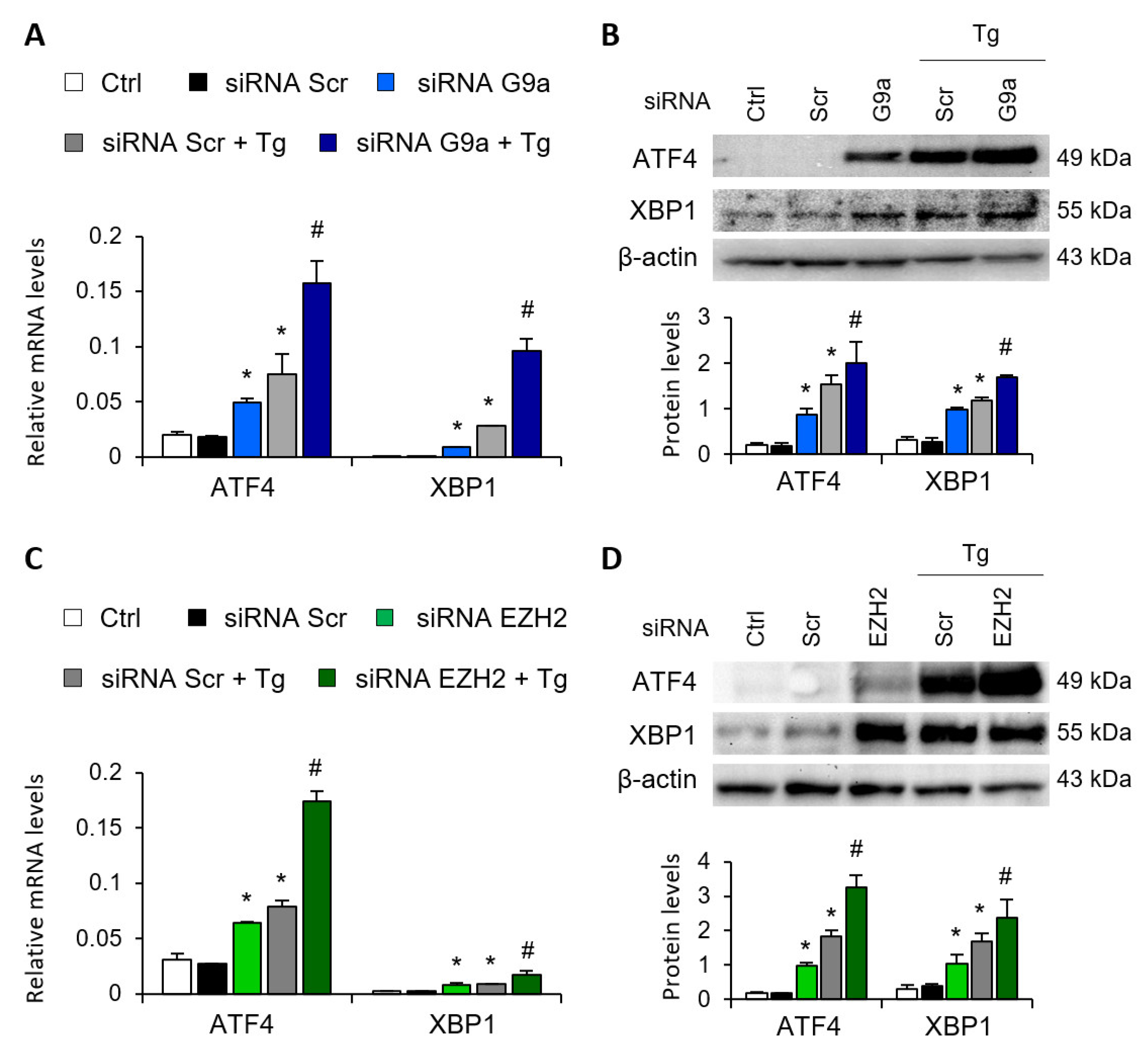 Antioxidants 11 01355 g003