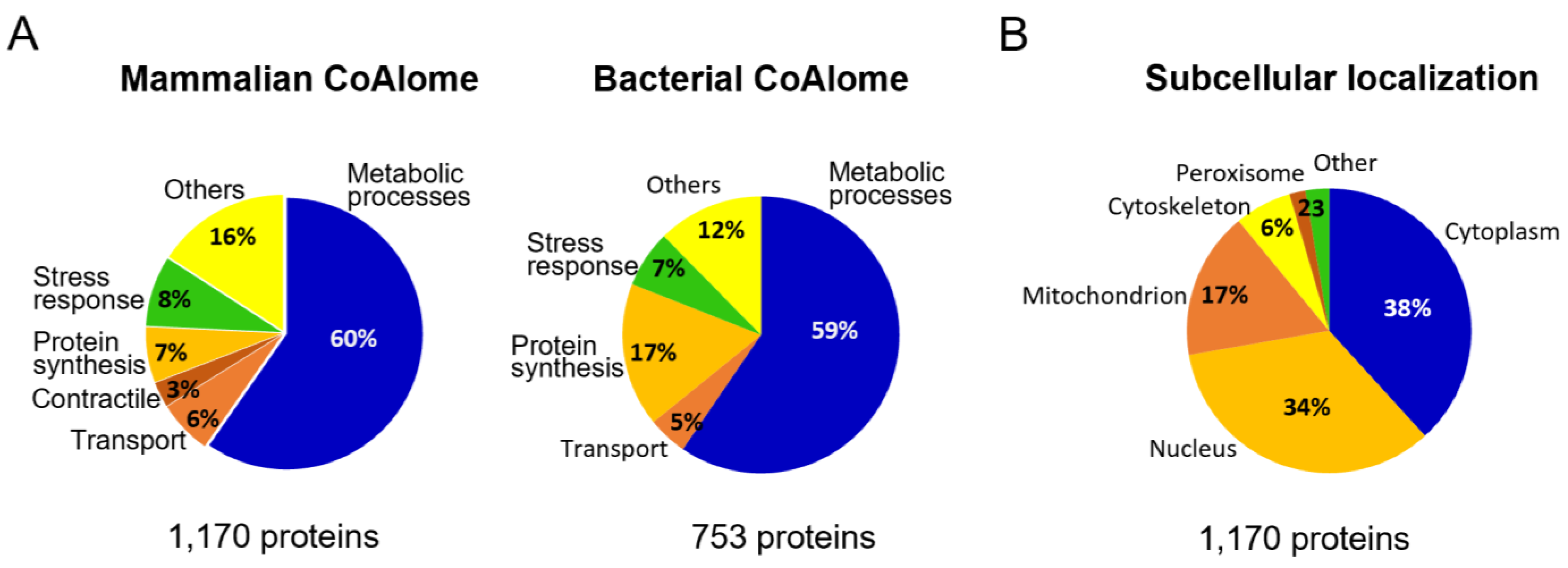 Antioxidants 11 01362 g002 Antioxidants 11 01362 g002