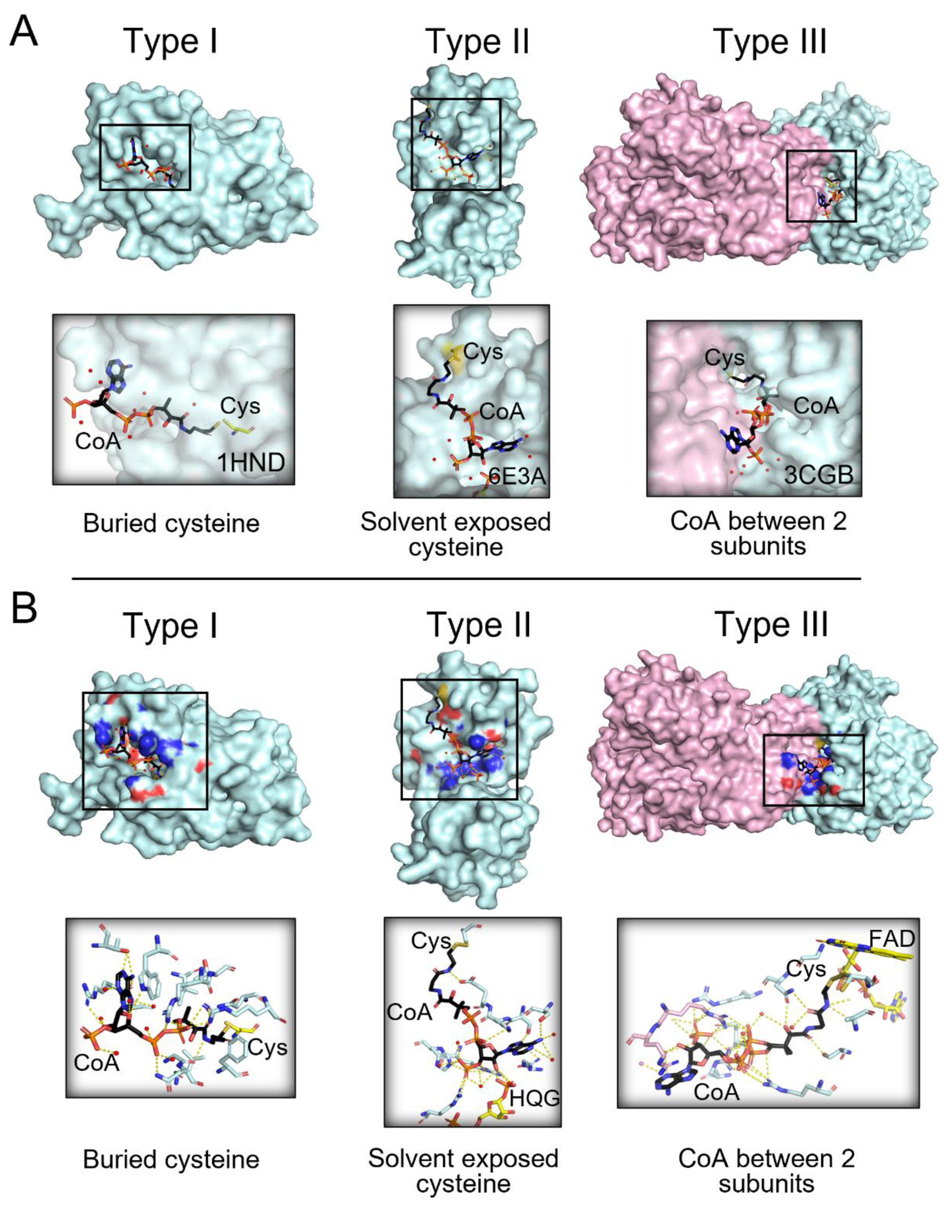 Antioxidants 11 01362 g003 Antioxidants 11 01362 g003