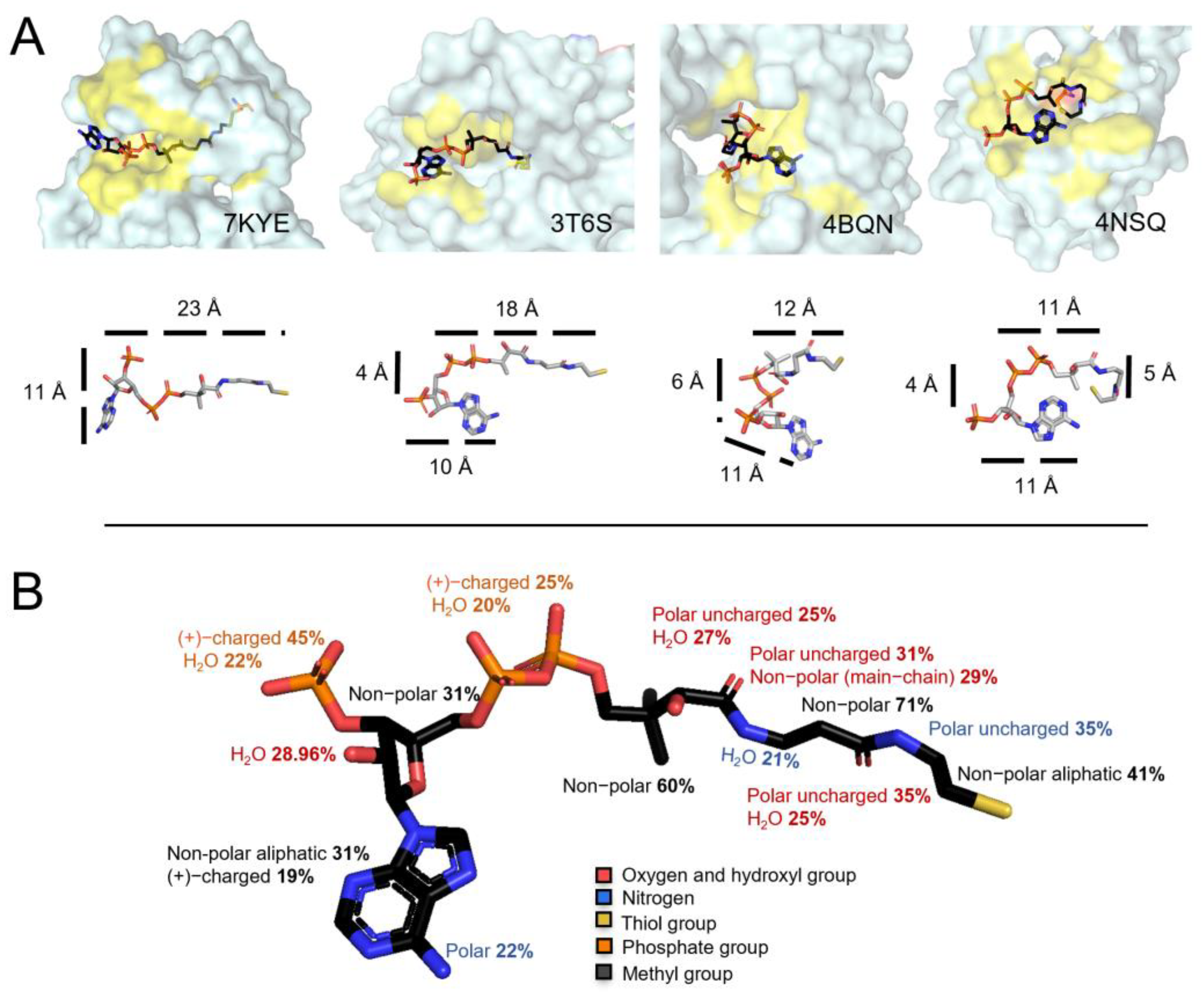 Antioxidants 11 01362 g004 Antioxidants 11 01362 g004