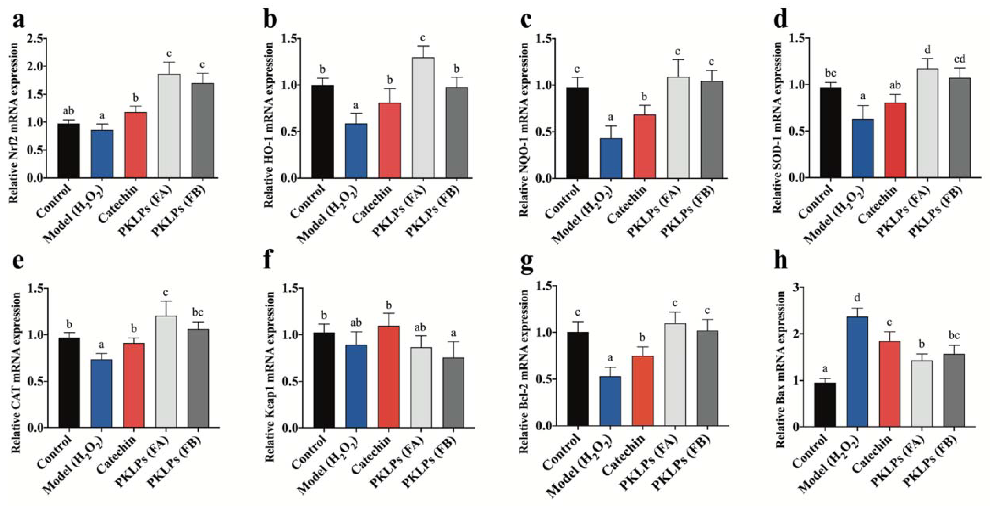 Antioxidants 11 01367 g003