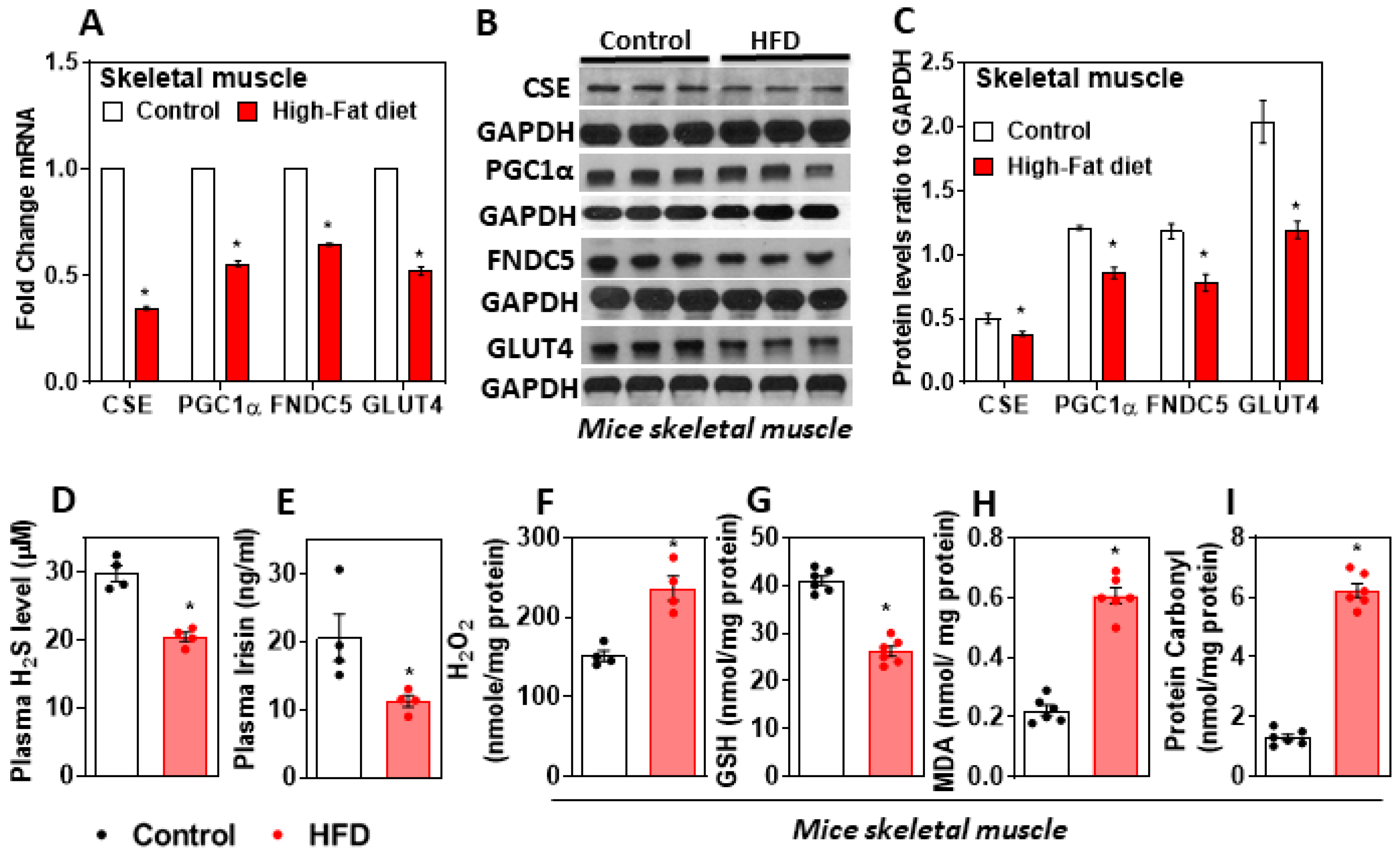 Antioxidants 11 01369 g001 Antioxidants 11 01369 g001