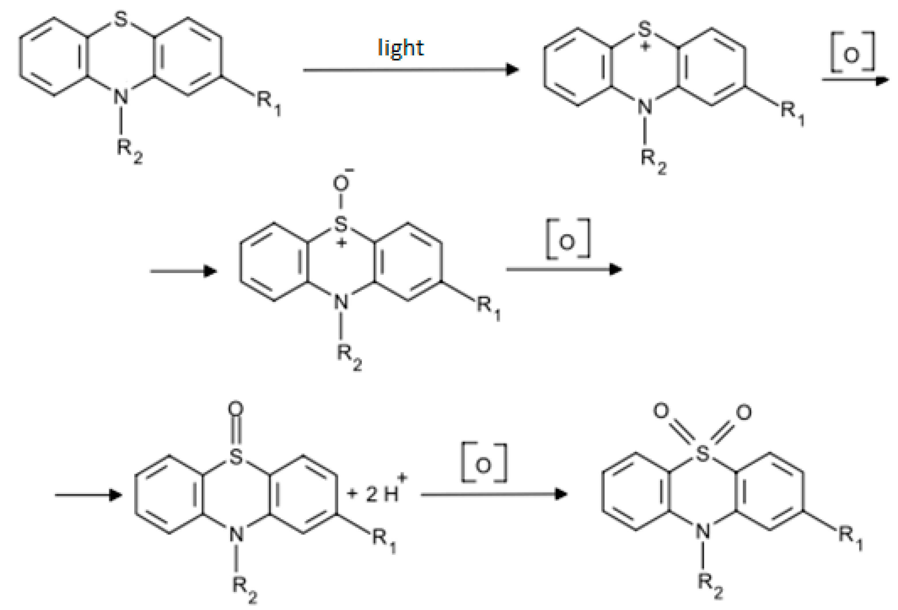 Antioxidants 11 01371 g007 550