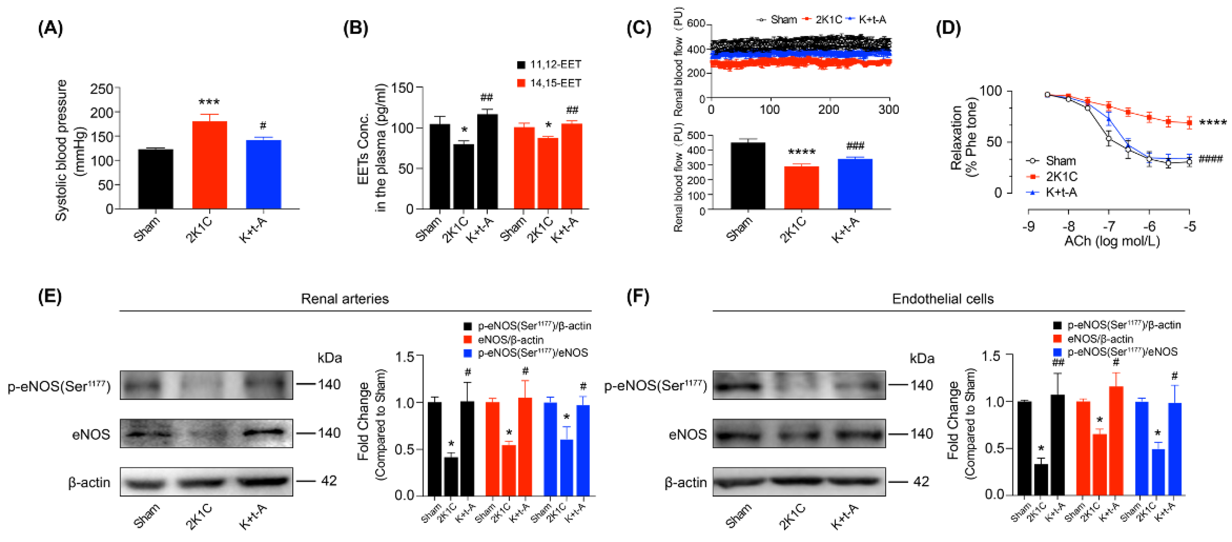 Antioxidants 11 01372 g001 Antioxidants 11 01372 g001