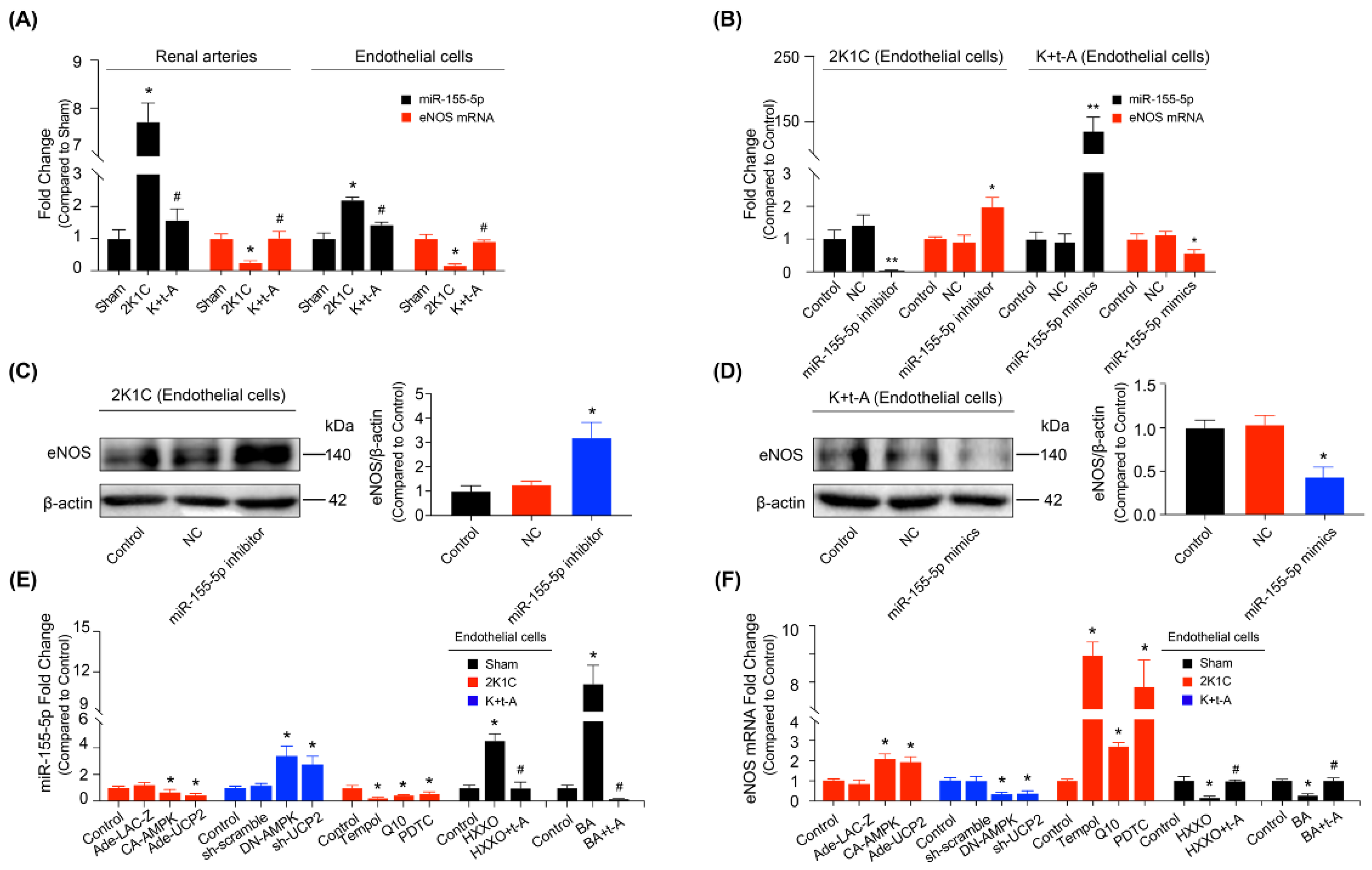 Antioxidants 11 01372 g006 Antioxidants 11 01372 g006