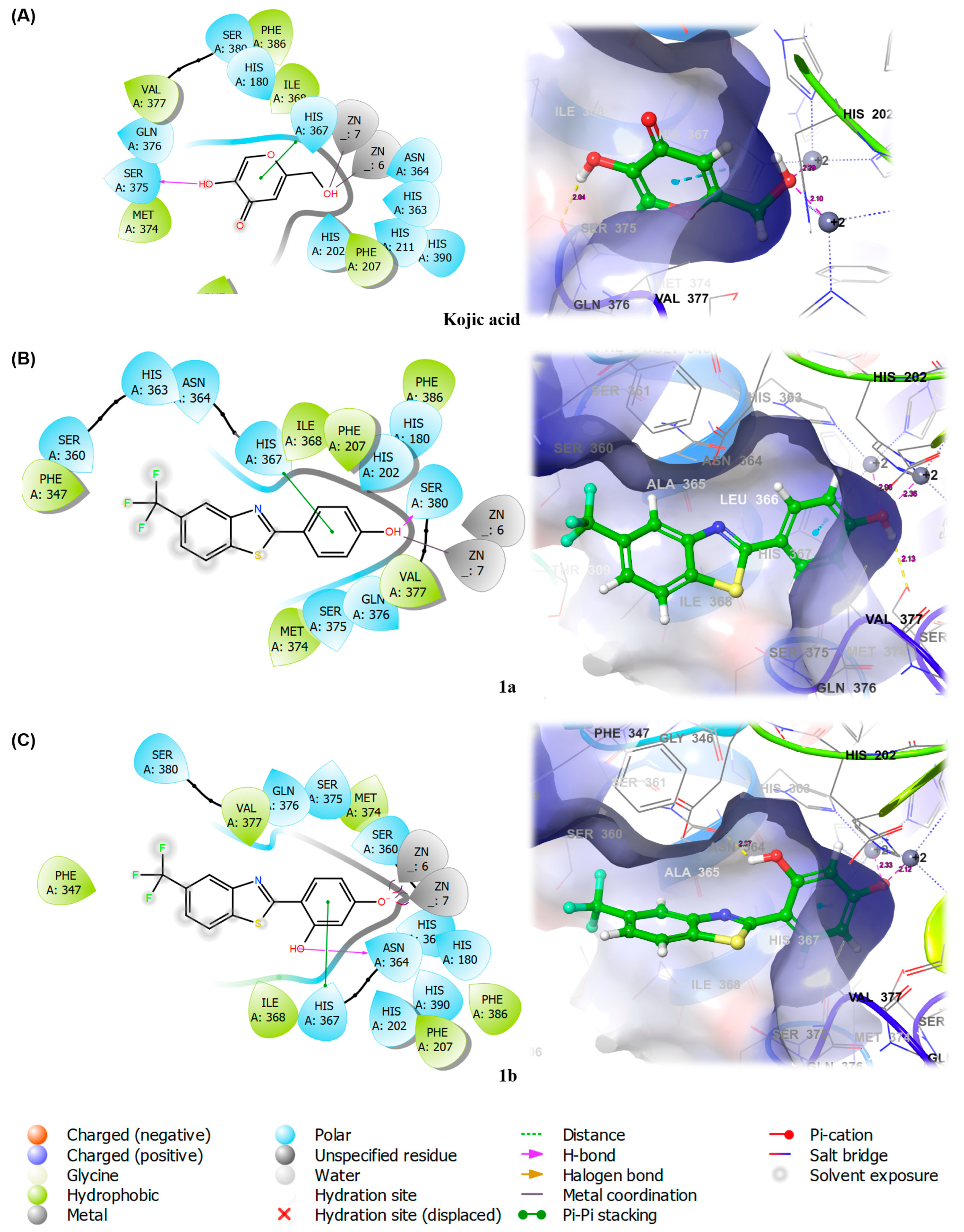 Antioxidants 11 01375 g006