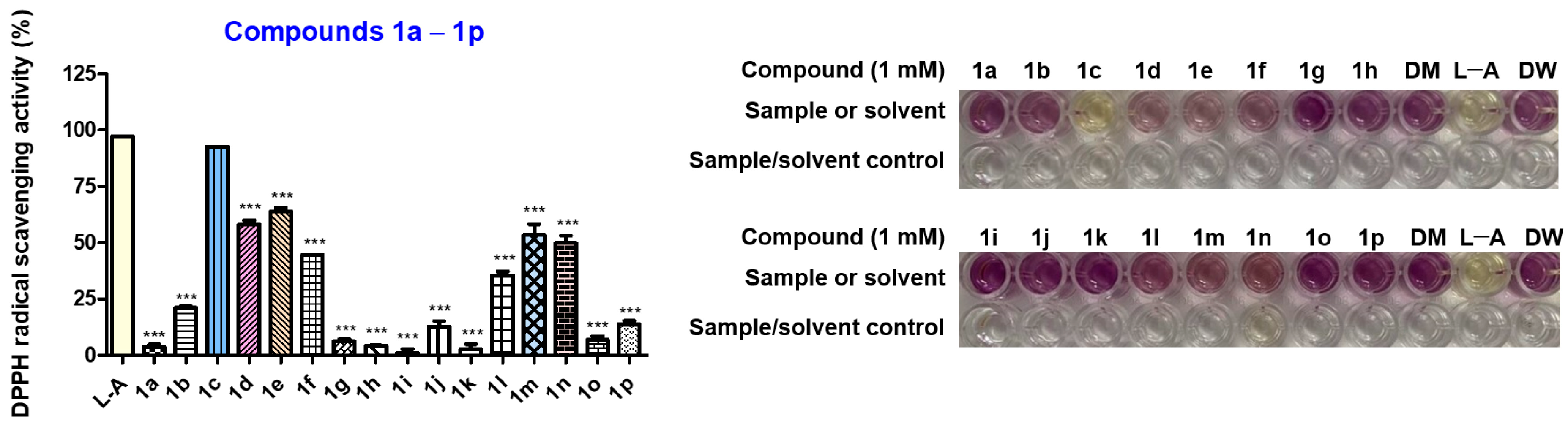 Antioxidants 11 01375 g012