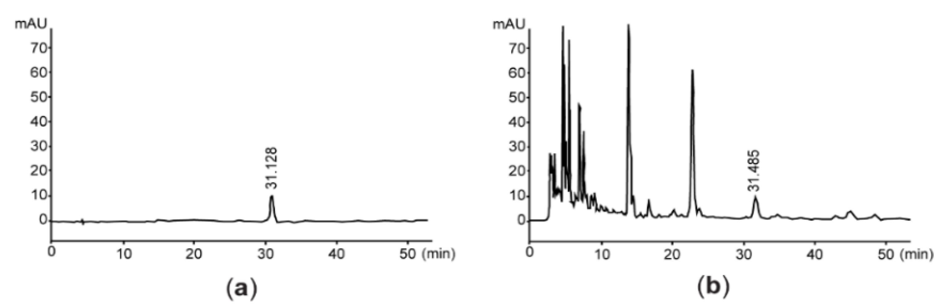 Antioxidants 11 01376 g001 Antioxidants 11 01376 g001