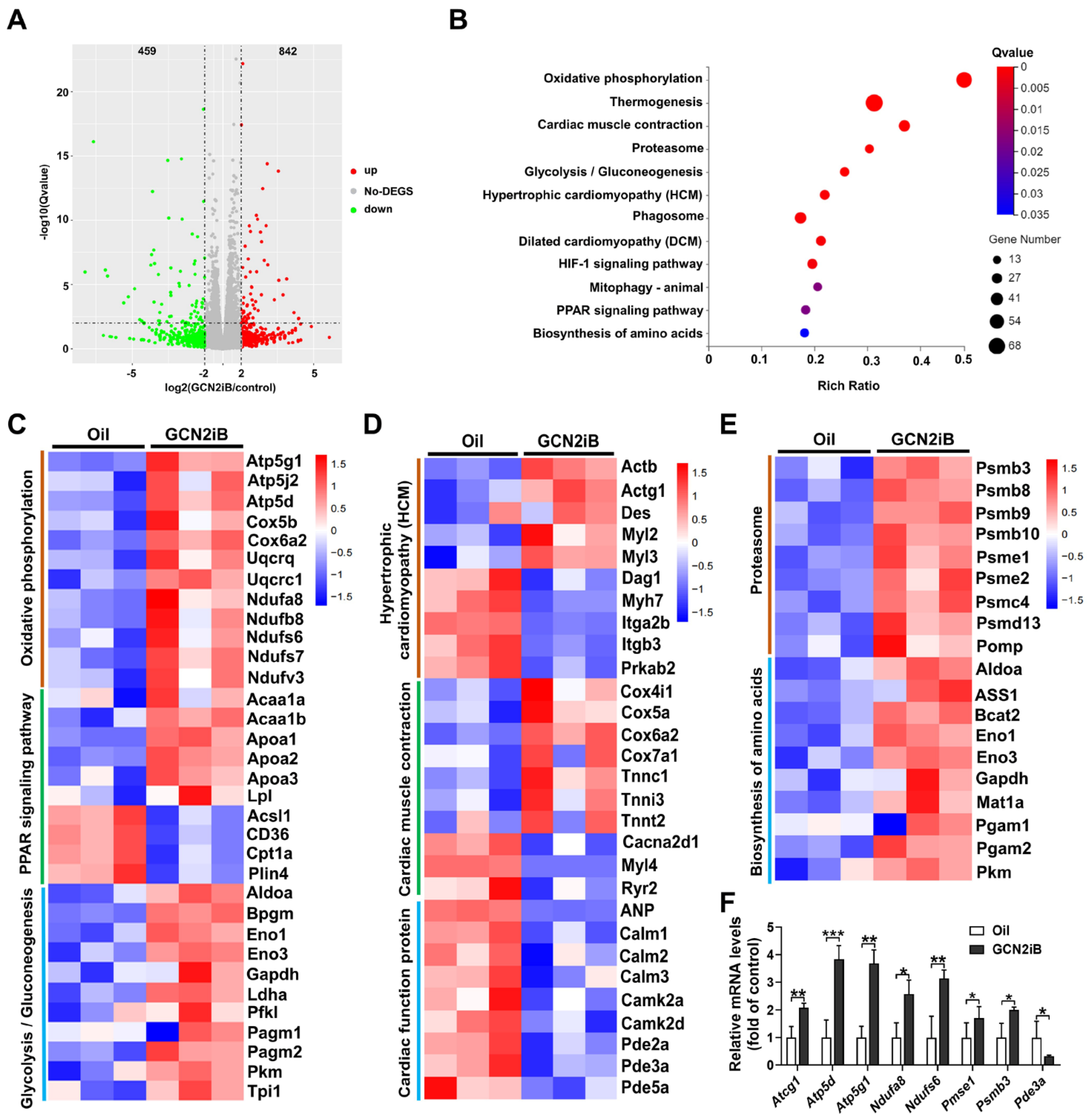 Antioxidants 11 01379 g003