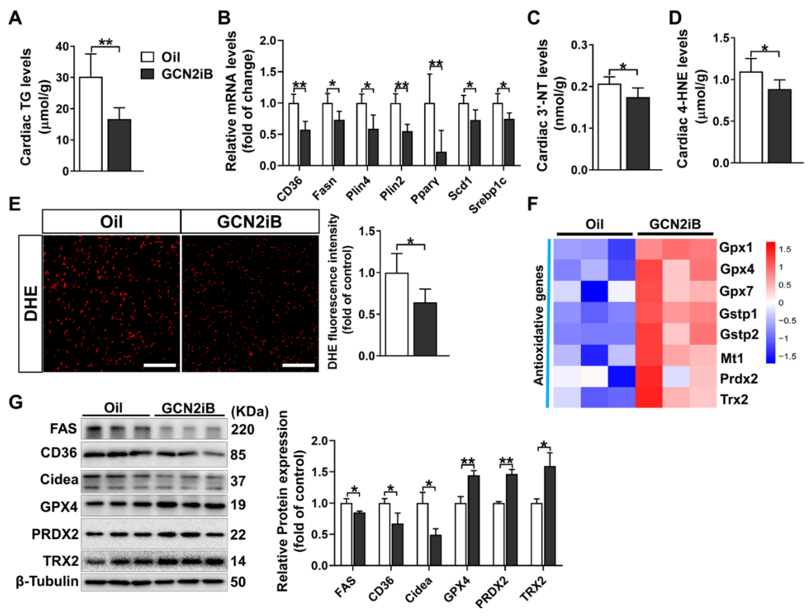 Antioxidants 11 01379 g004