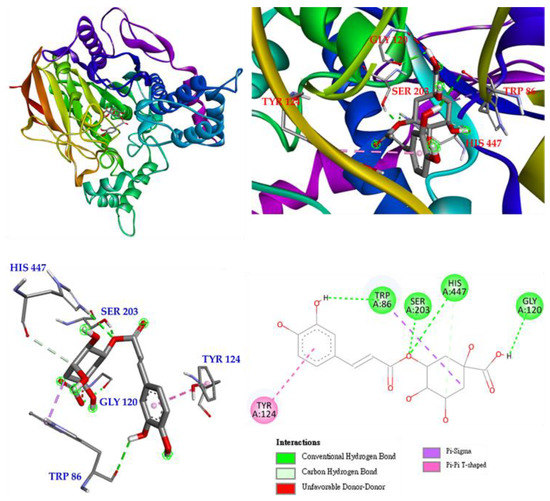 Antioxidants An Open Access Journal from MDPI