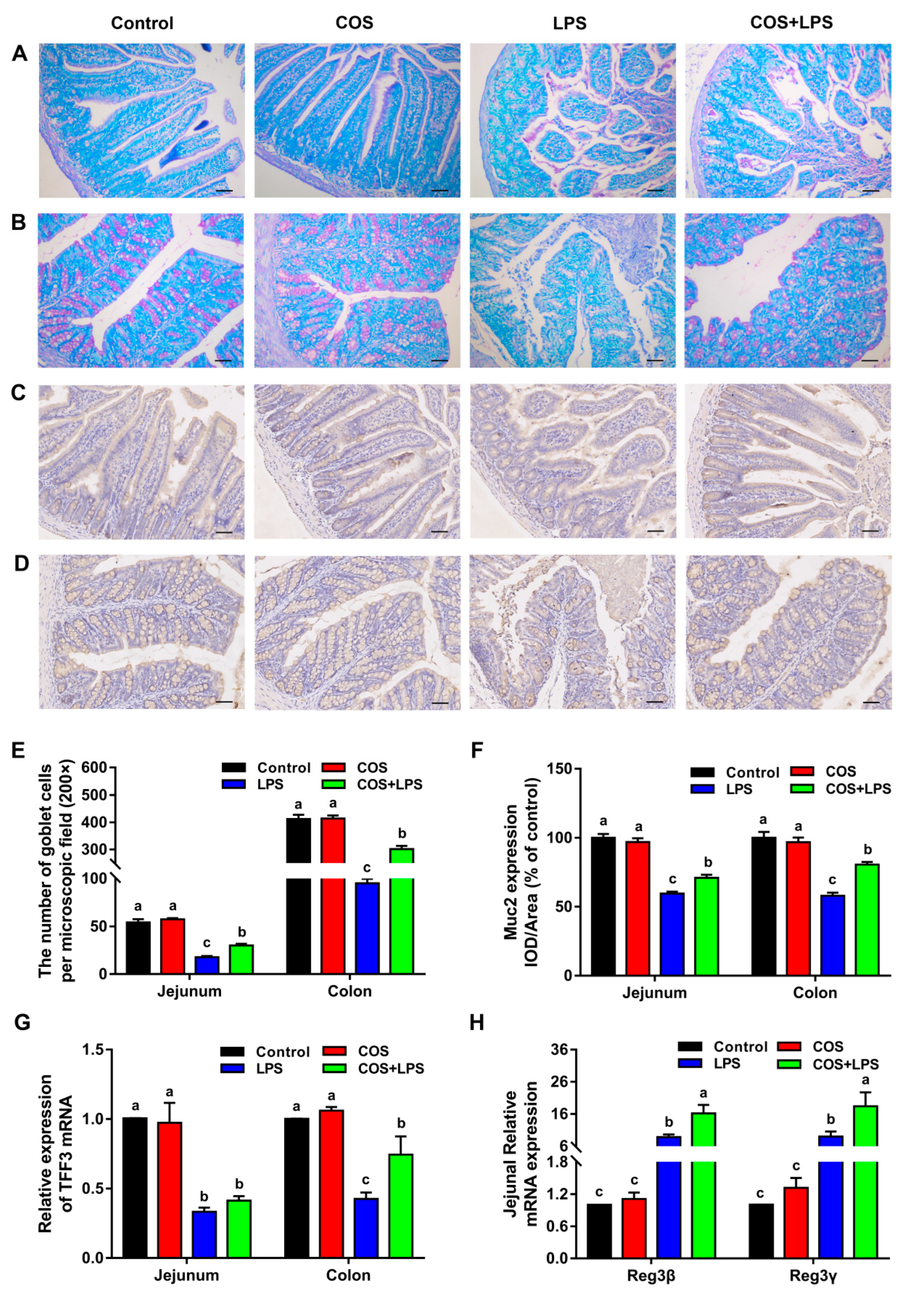Antioxidants 11 01384 g005