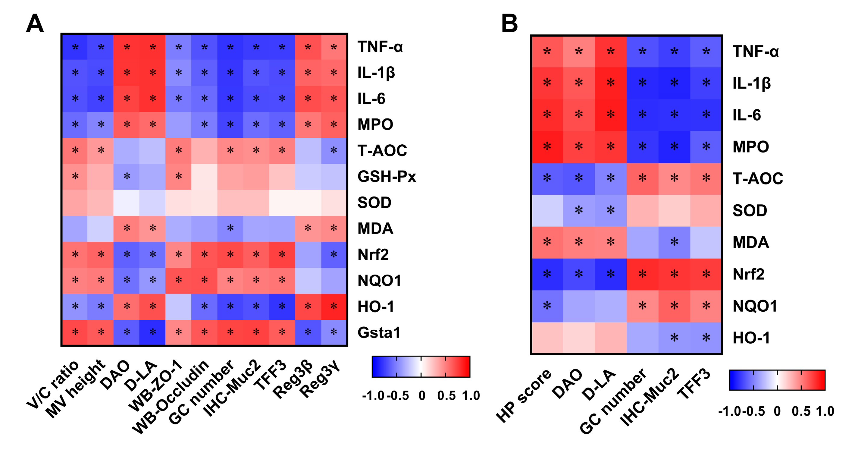 Antioxidants 11 01384 g009