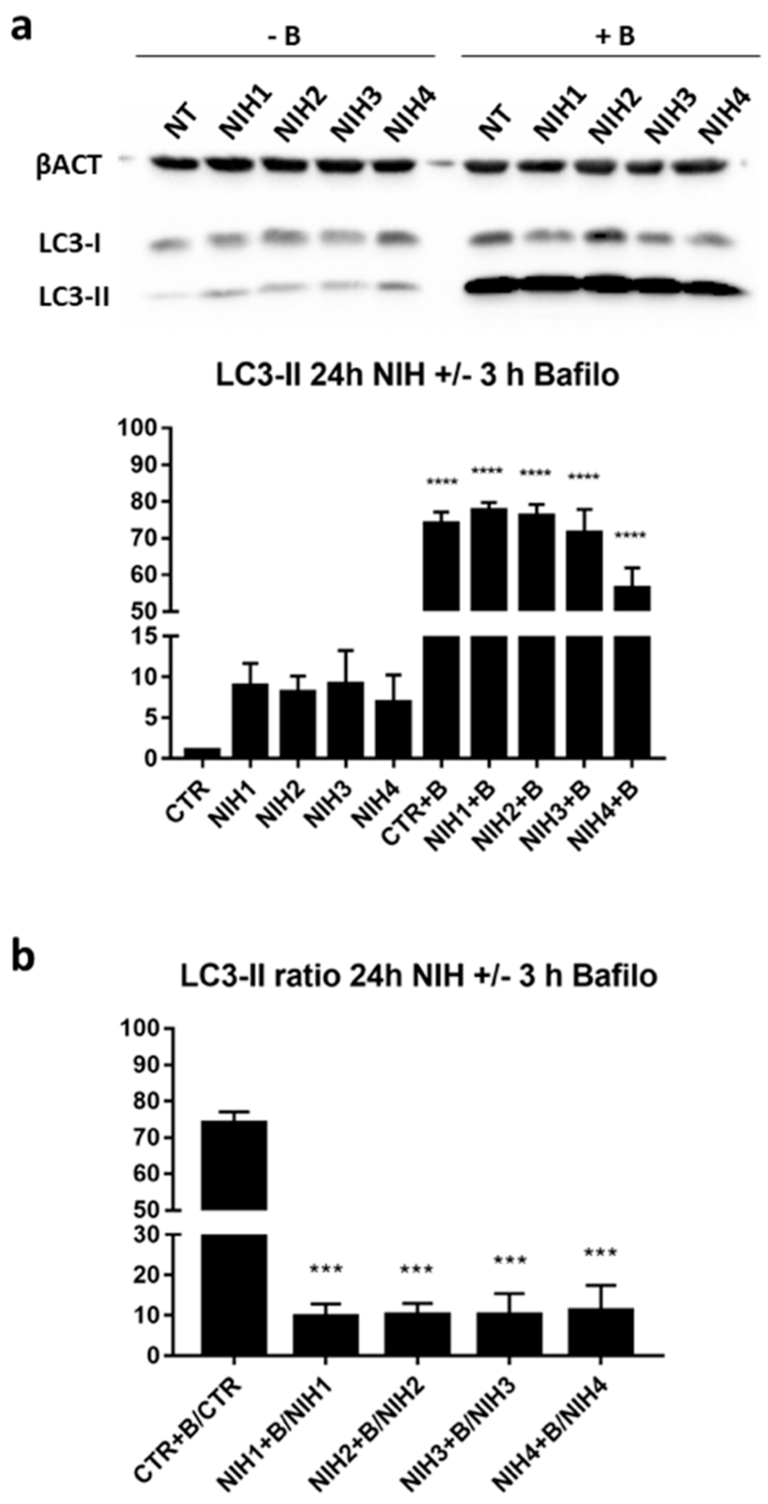 Antioxidants 11 01385 g003