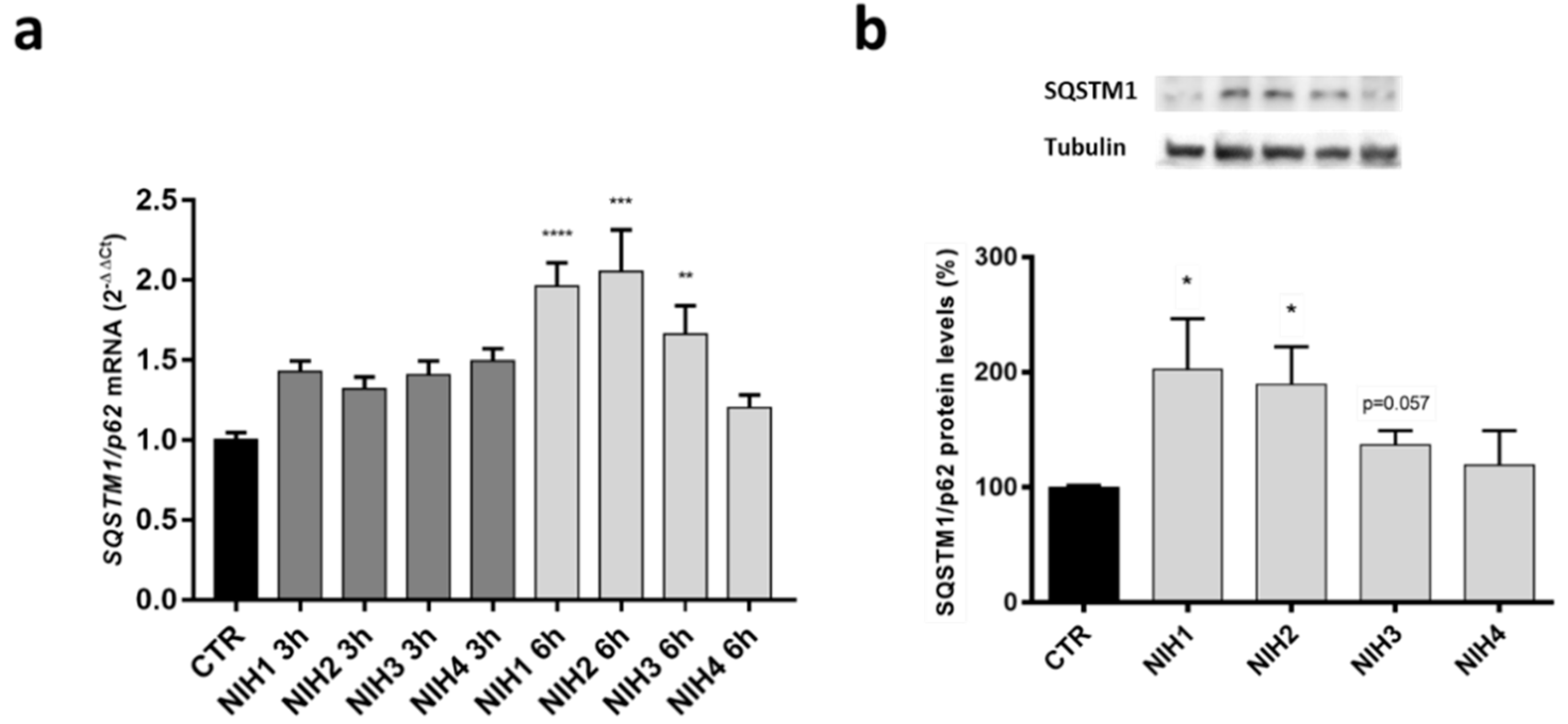 Antioxidants 11 01385 g004