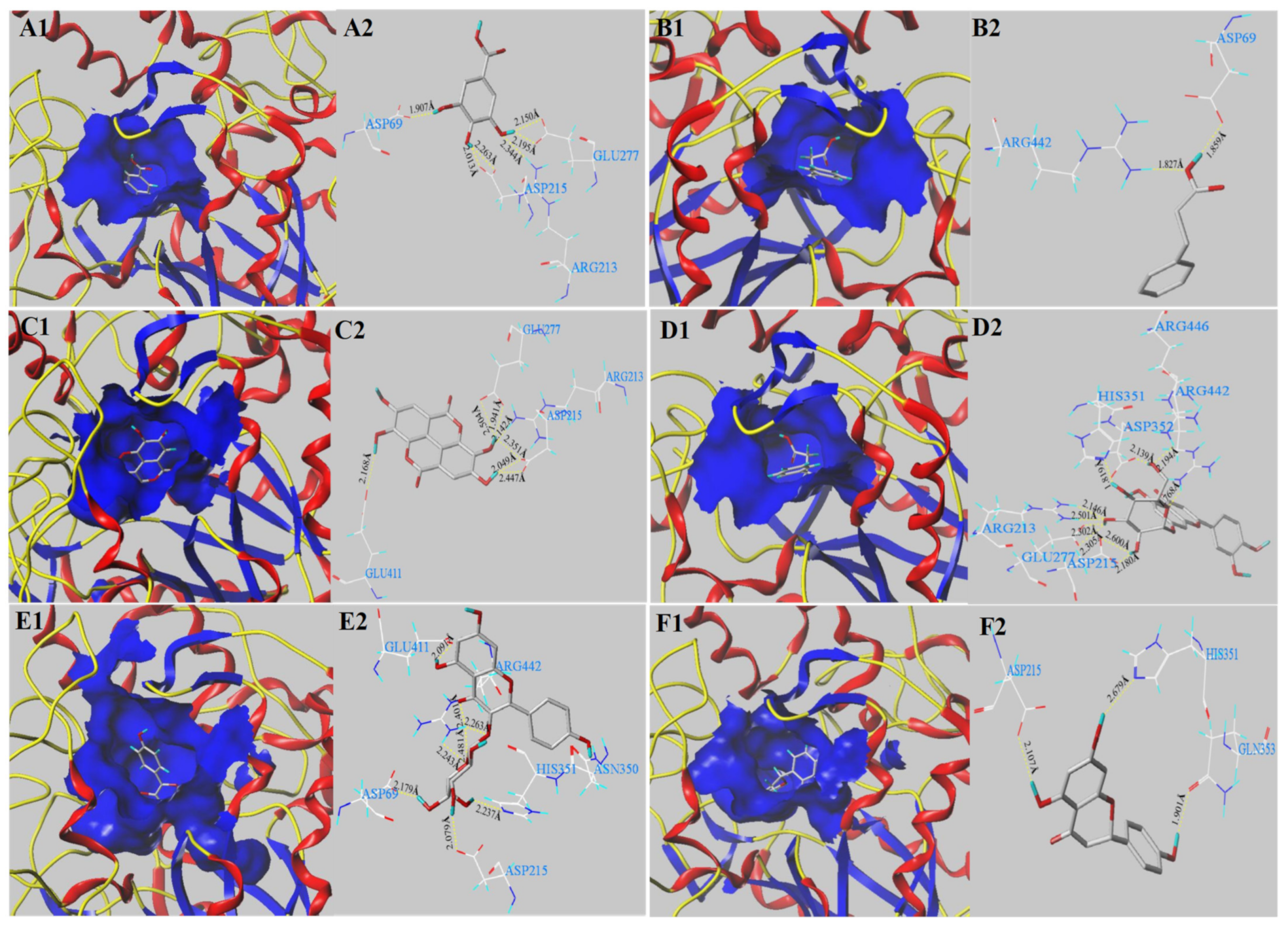 Antioxidants 11 01390 g003