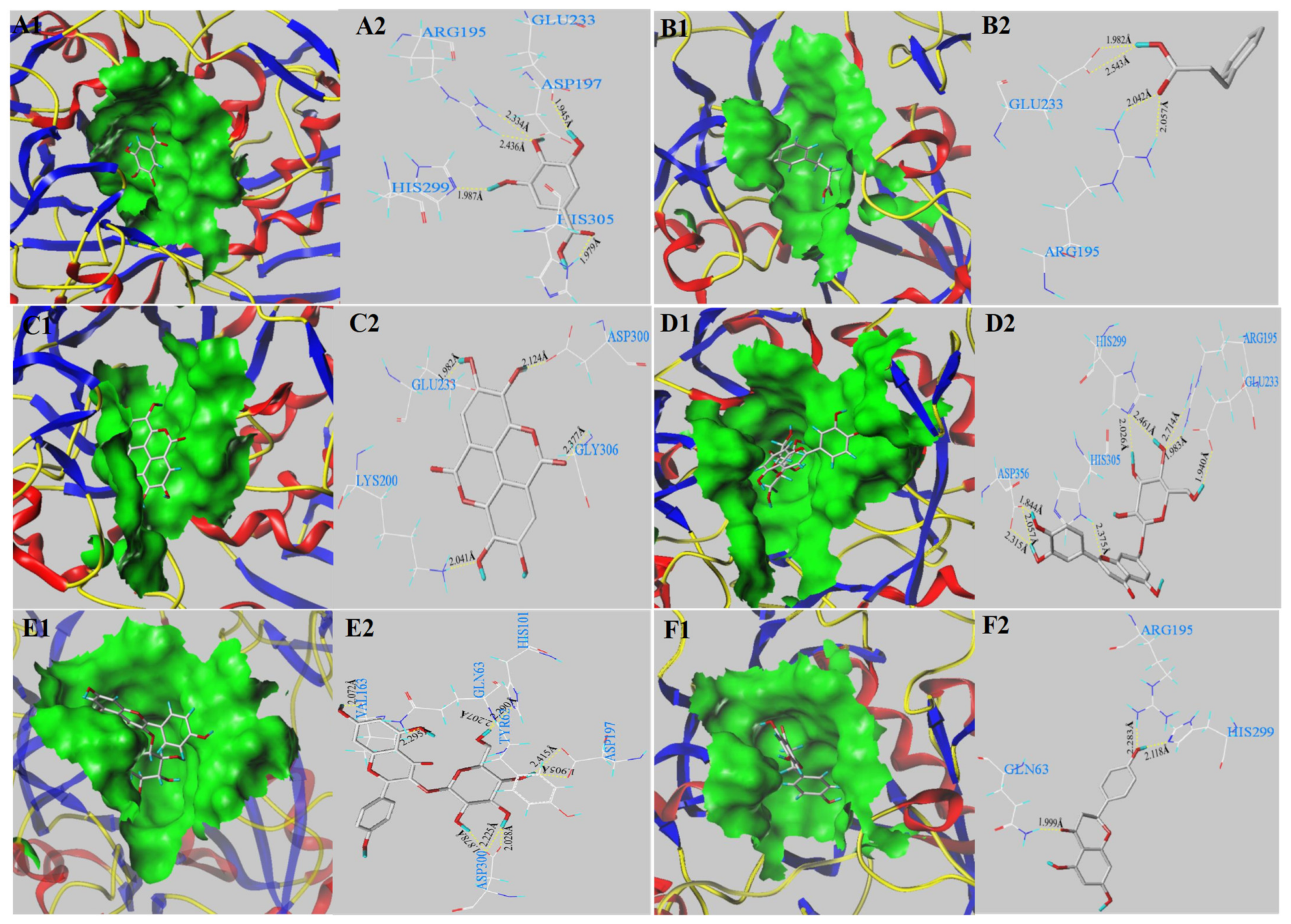 Antioxidants 11 01390 g004