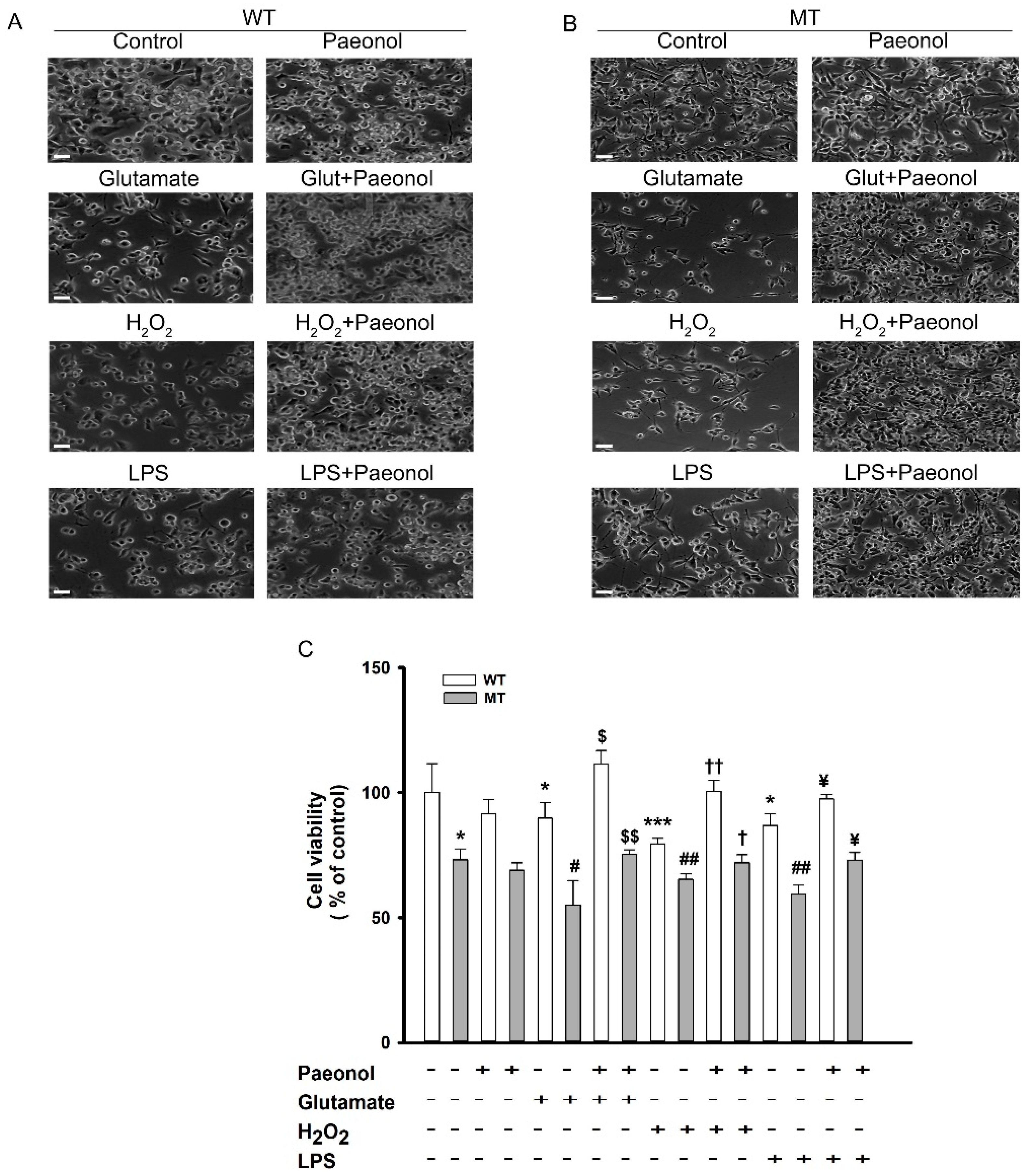 Antioxidants 11 01392 g001