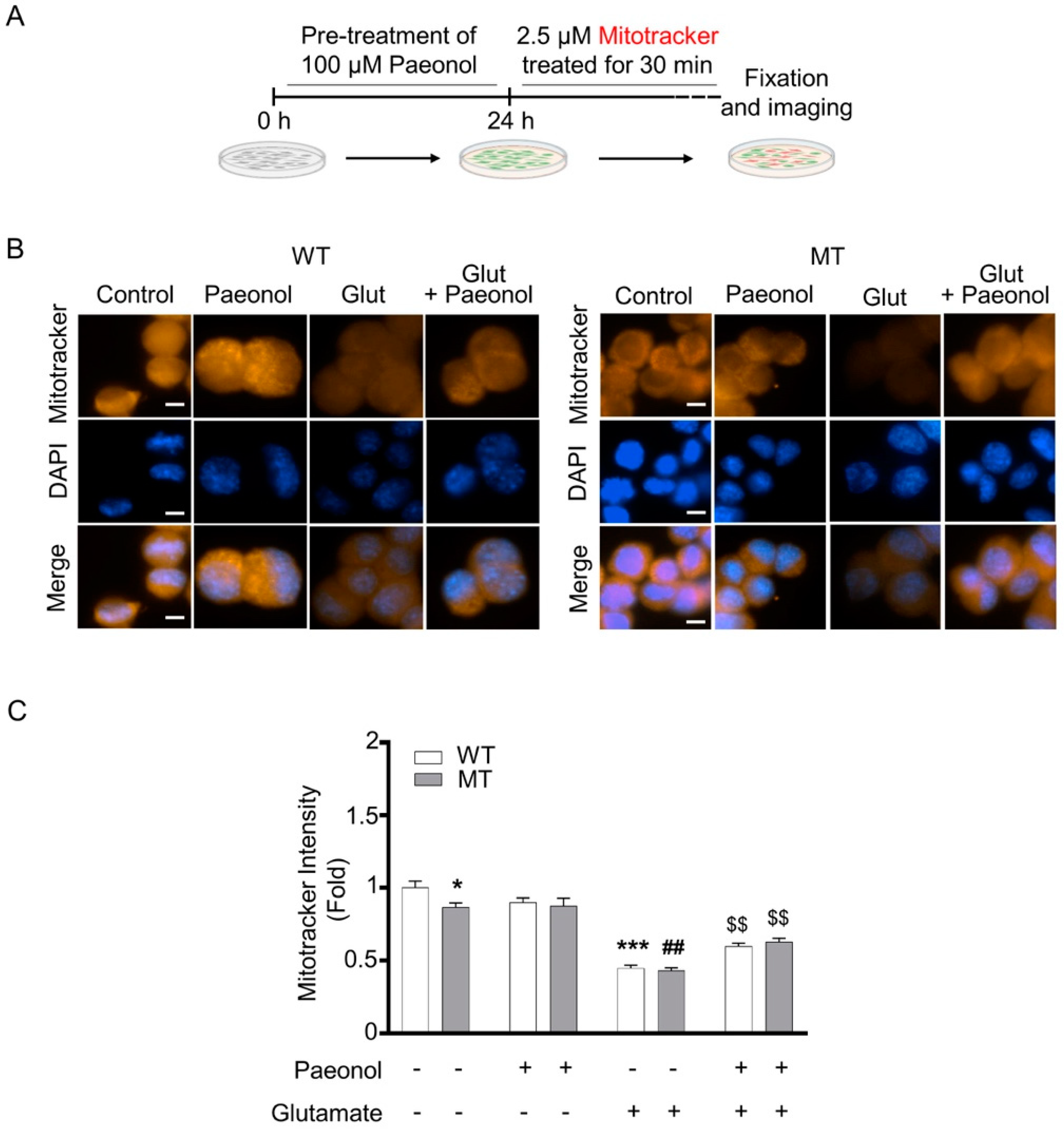Antioxidants 11 01392 g003