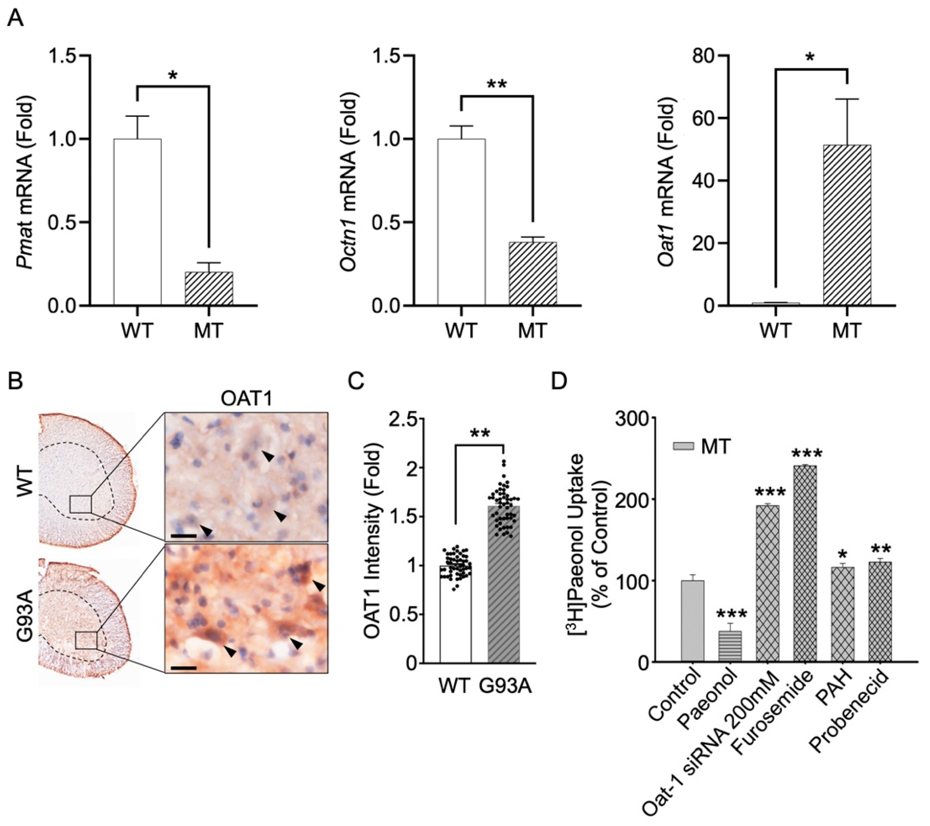 Antioxidants 11 01392 g007