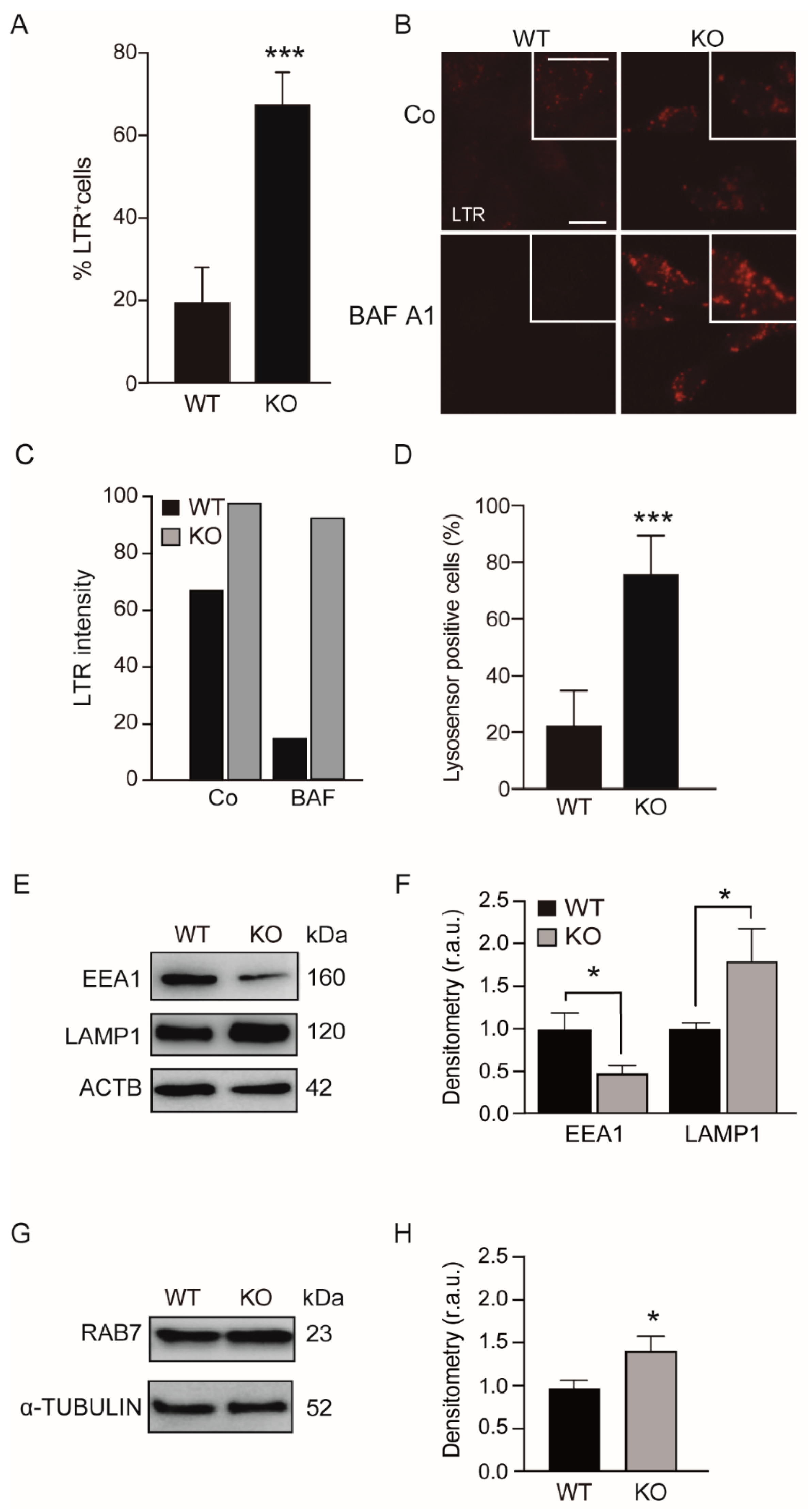Antioxidants 11 01398 g001