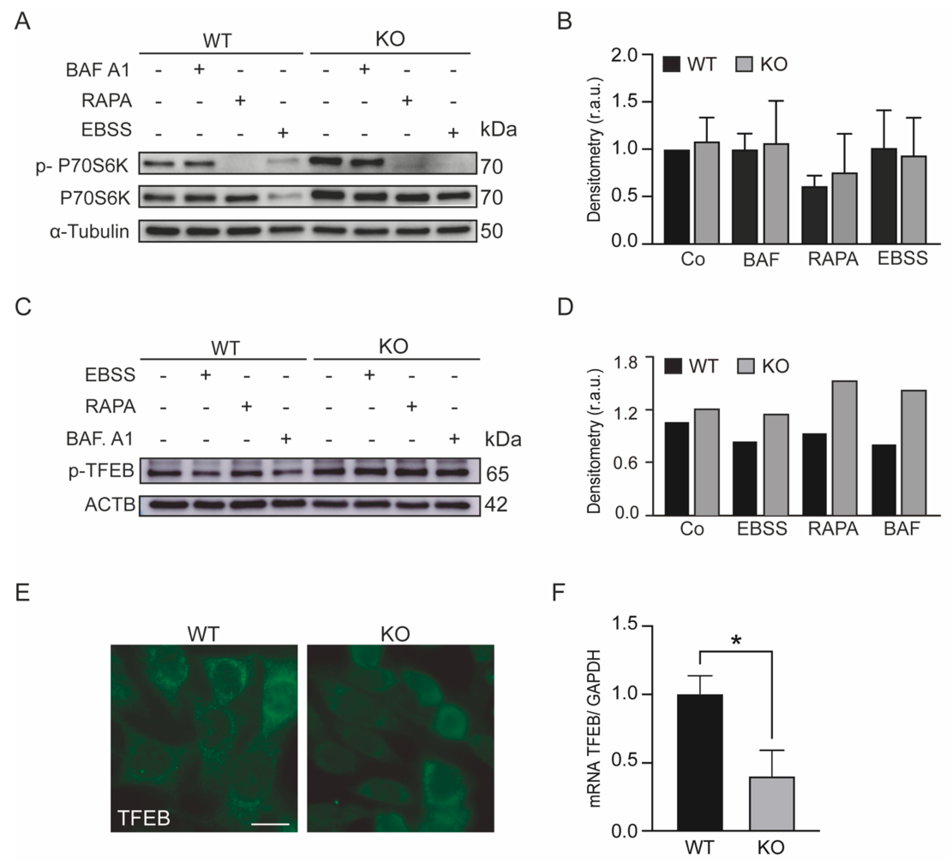 Antioxidants 11 01398 g002