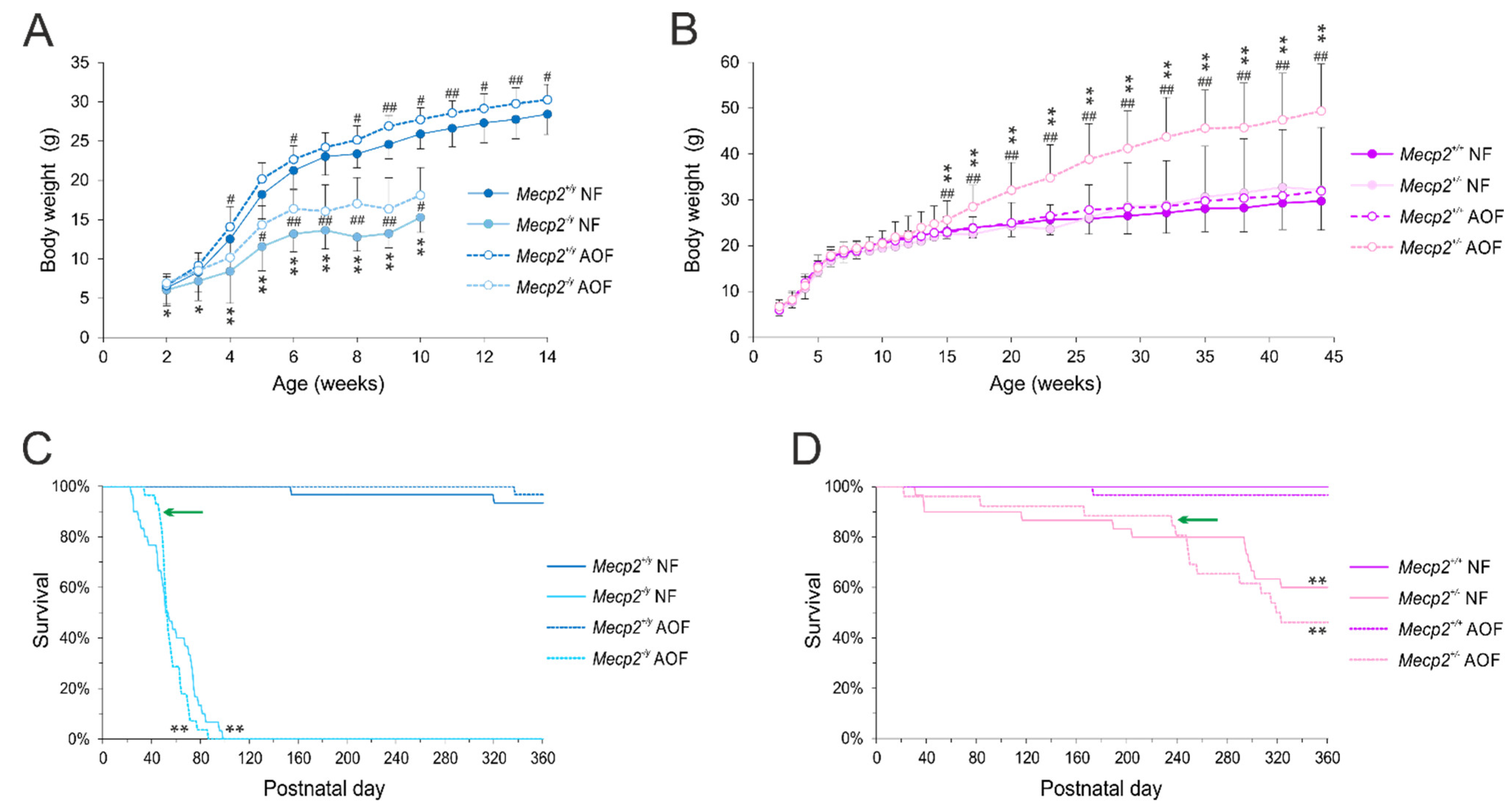 Antioxidants 11 01406 g001