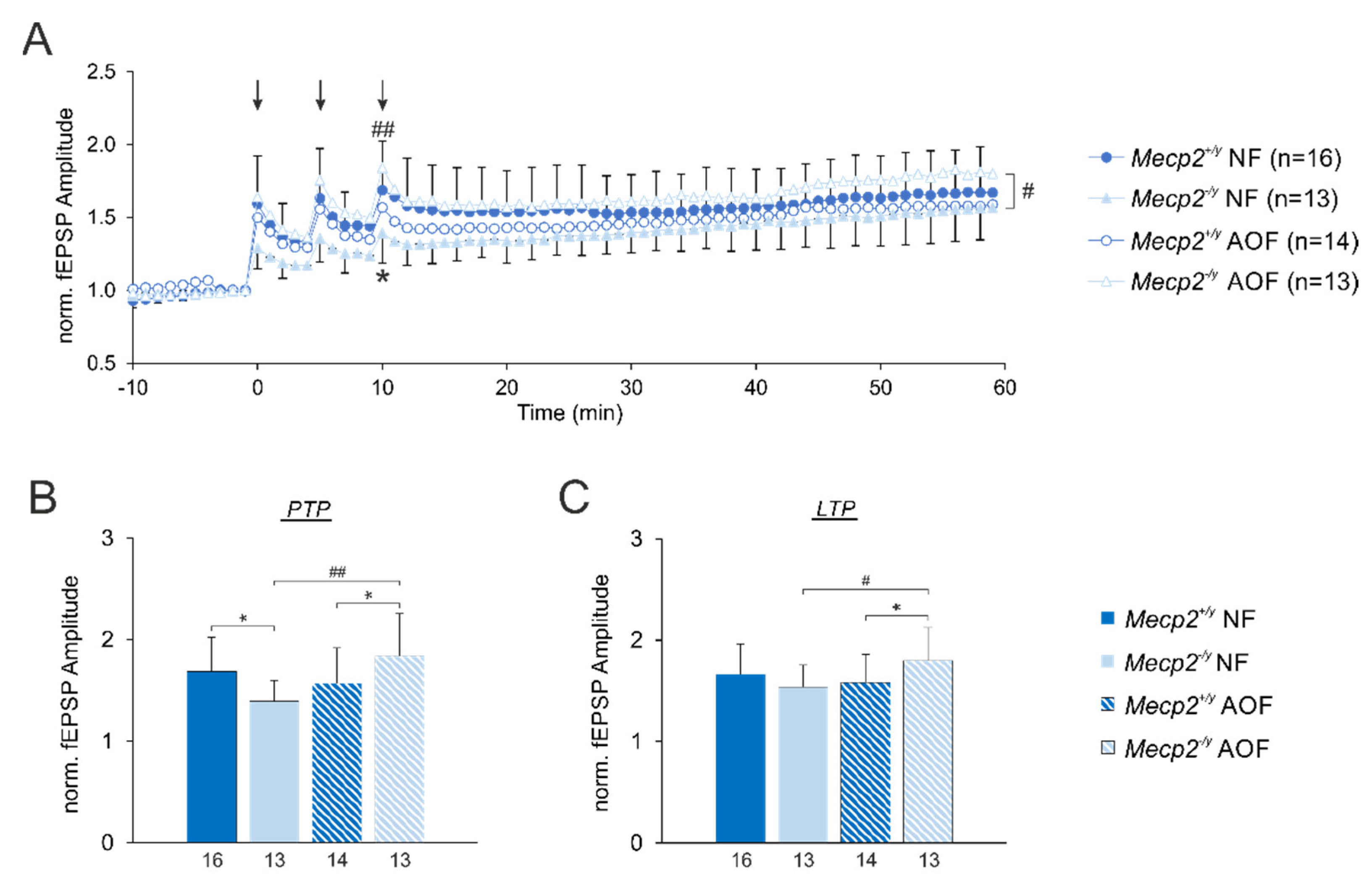 Antioxidants 11 01406 g007