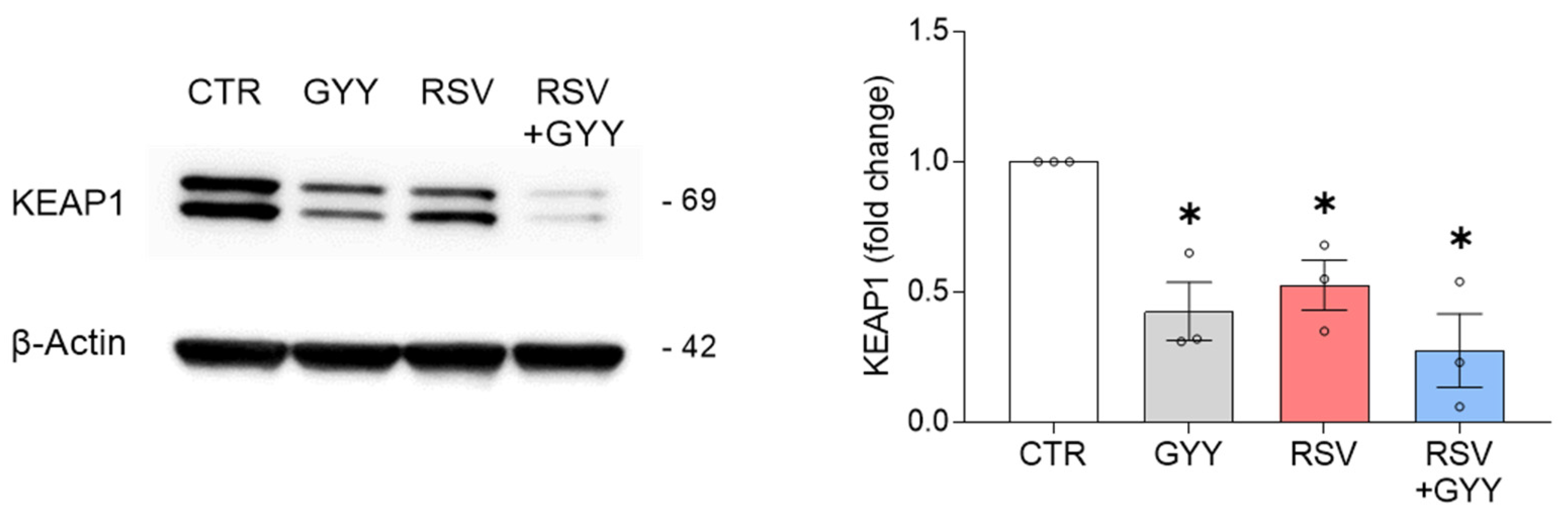 Antioxidants 11 01410 g003